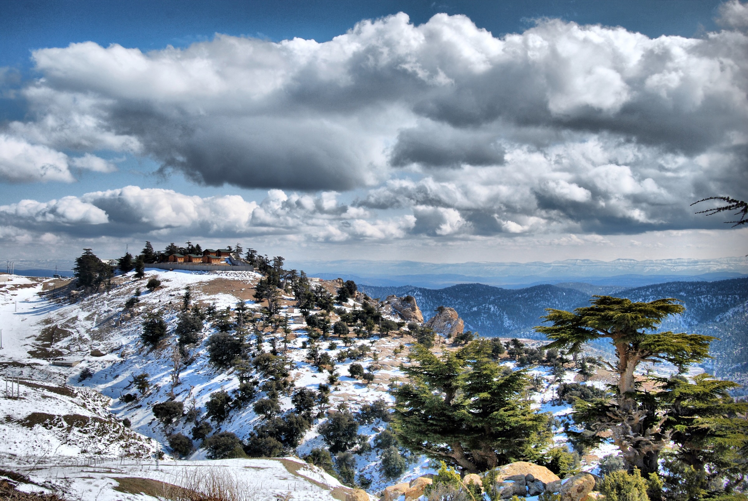 Landscape in the Djebel Chelia national park, Algeria