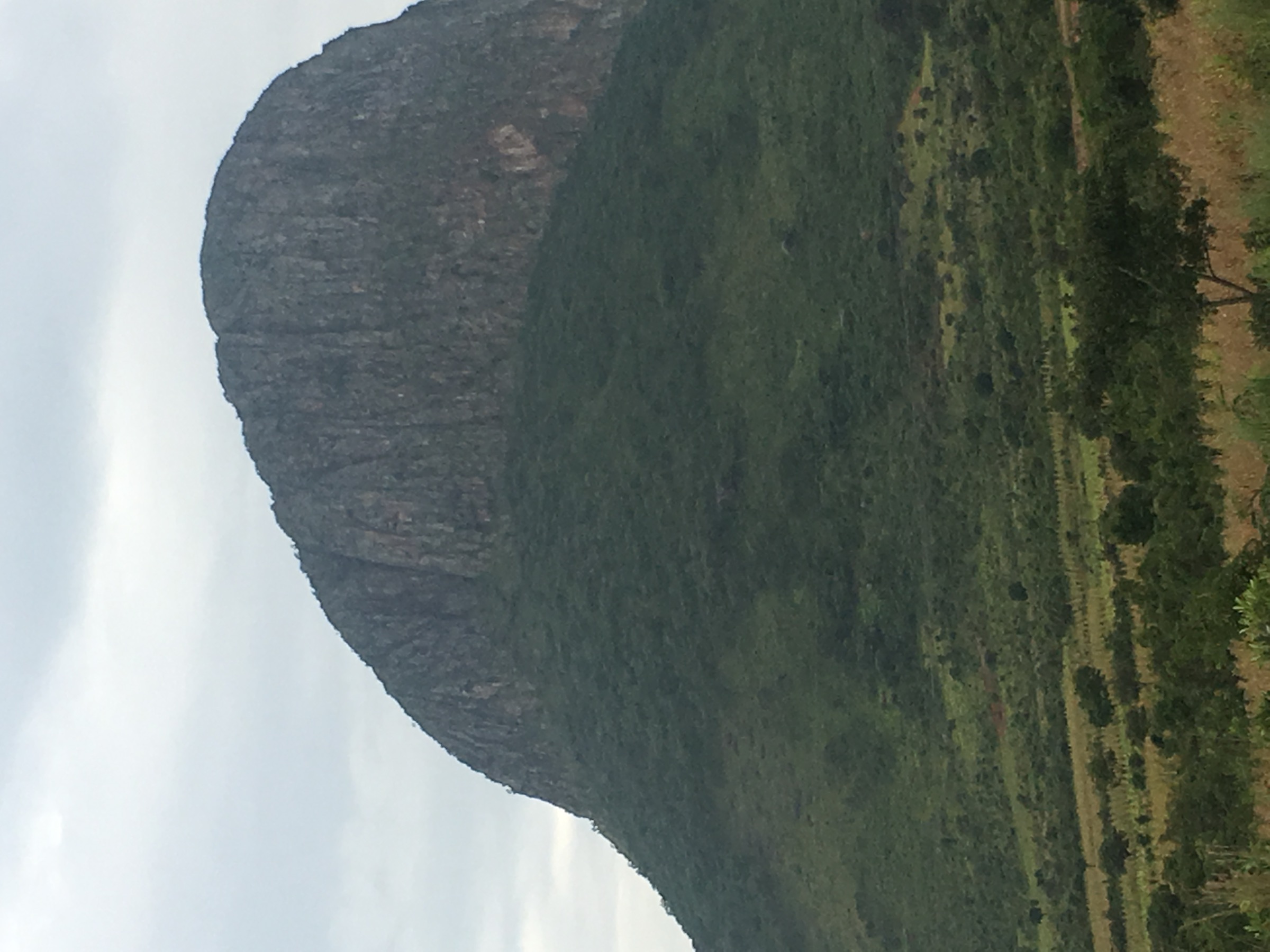 Open miombo woodland on the high slopes of the Bié–Huambo plateau, representative of the Cuanza headwaters landscape