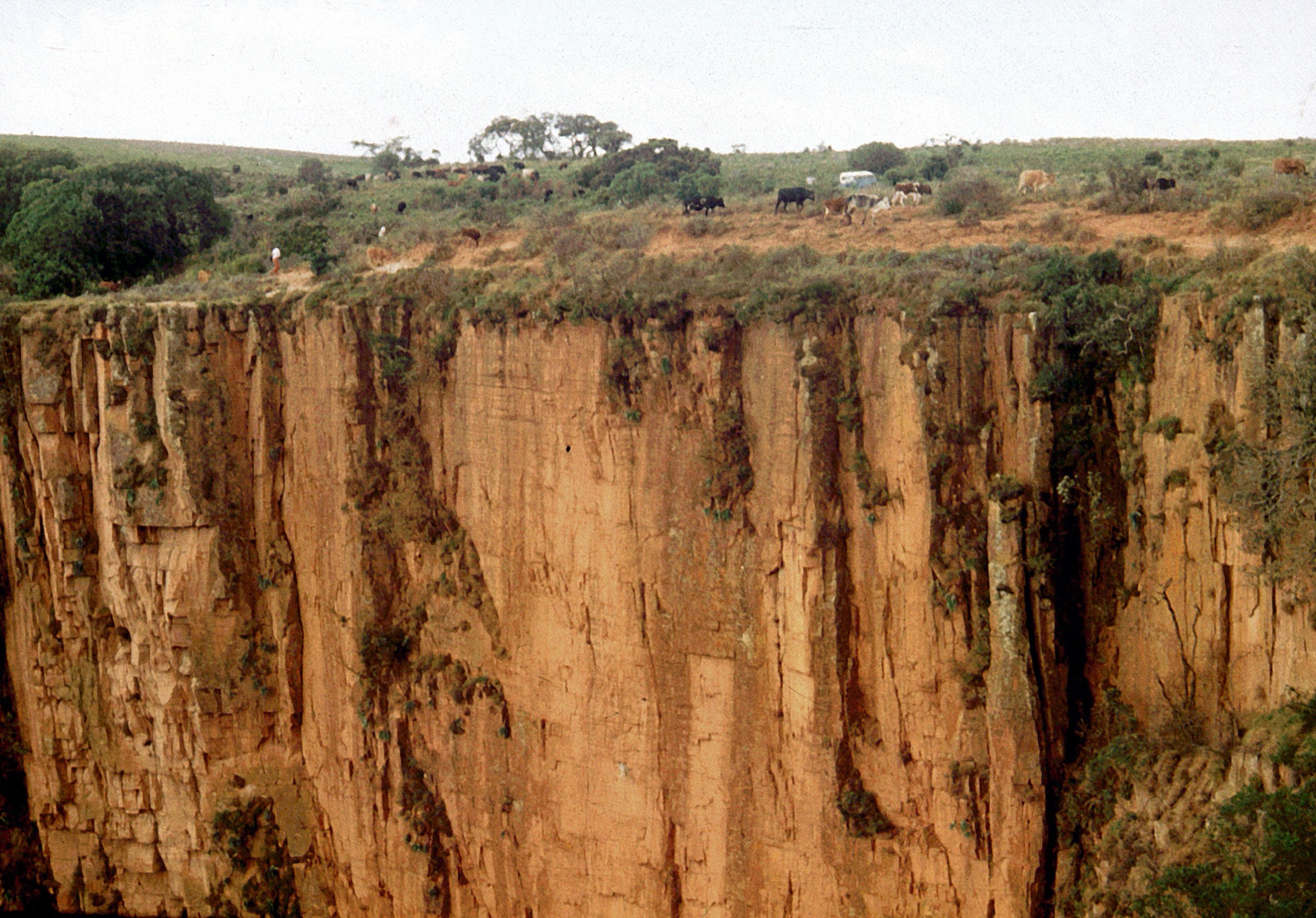 A canyon on the Huíla Plateau near Lubango — representative image of the Chela escarpment cliffs in the Humpata / Bimbe area