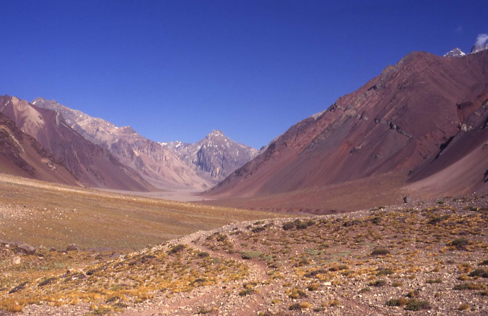 Aconcagua, Horcones valley