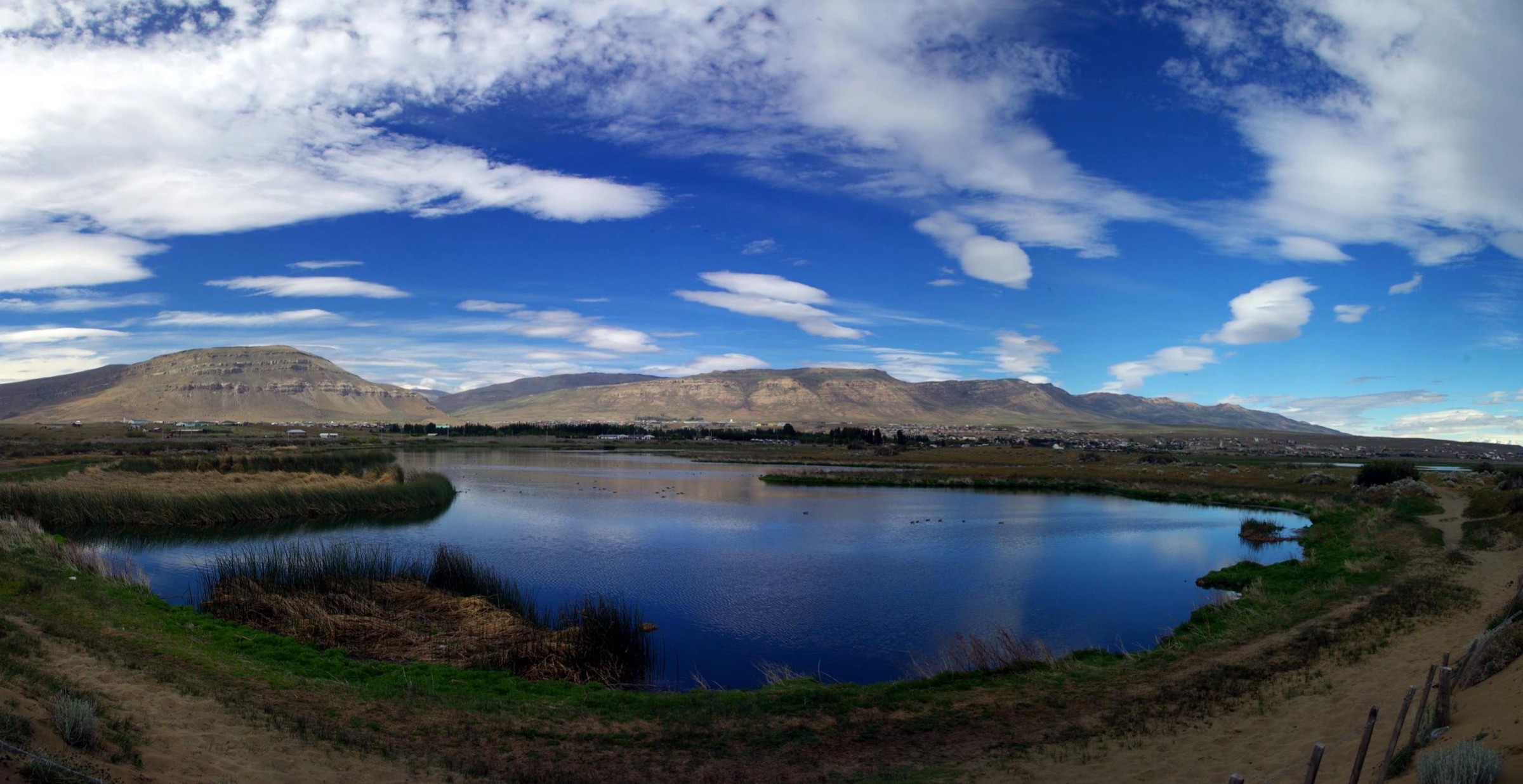 Laguna Nimez wetland reserve with El Calafate in the background