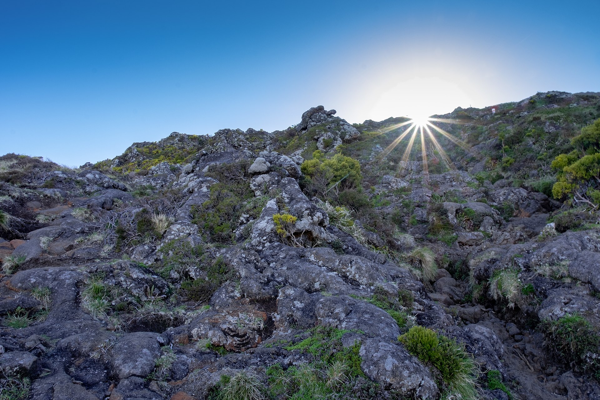 Atlantic Islands — Madeira, Azores and Canary Islands