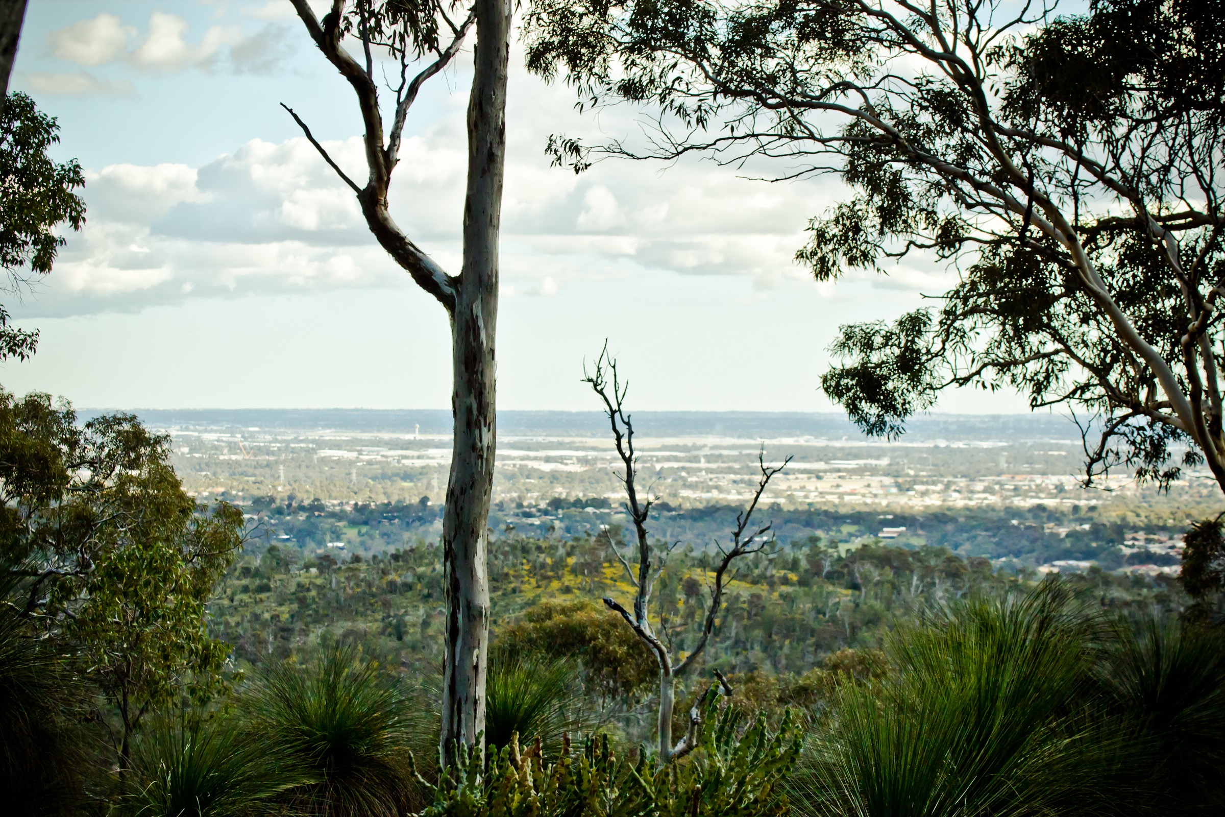 Australia — John Forrest / Avon Valley: Essential Day-Hikes