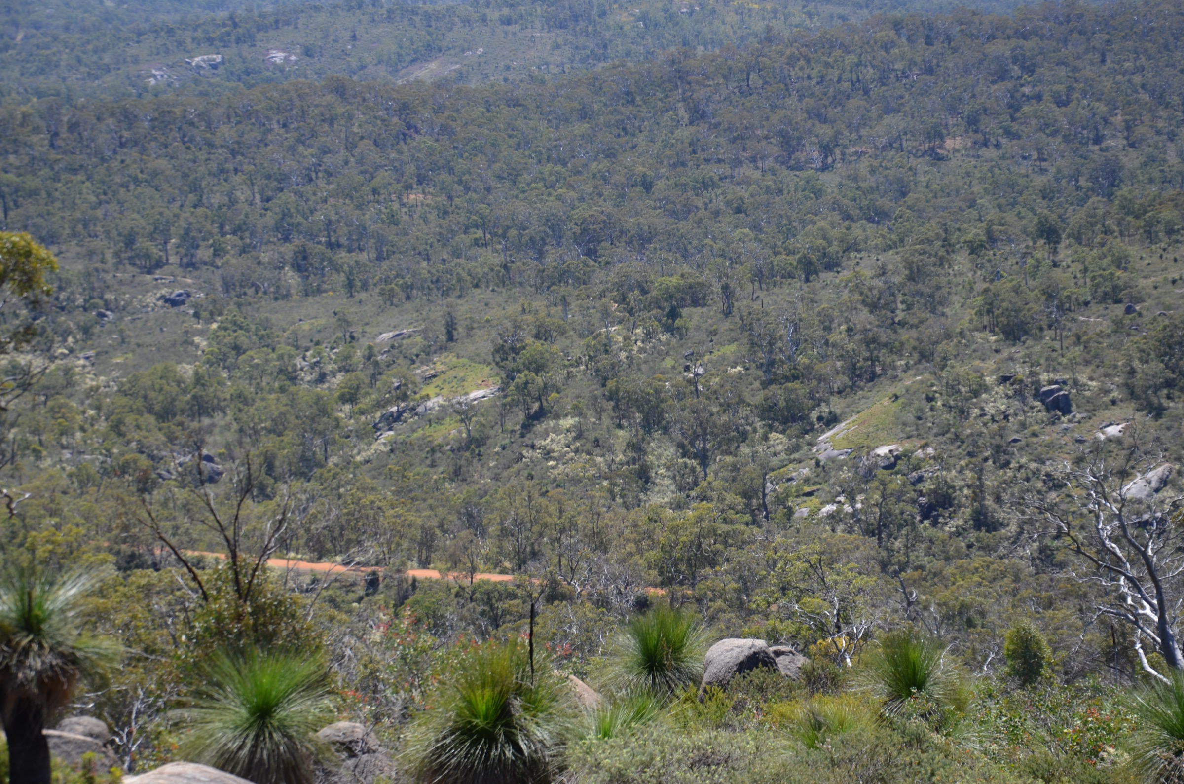 The Railway Reserves Heritage Trail on the former Eastern Railway formation through John Forrest National Park