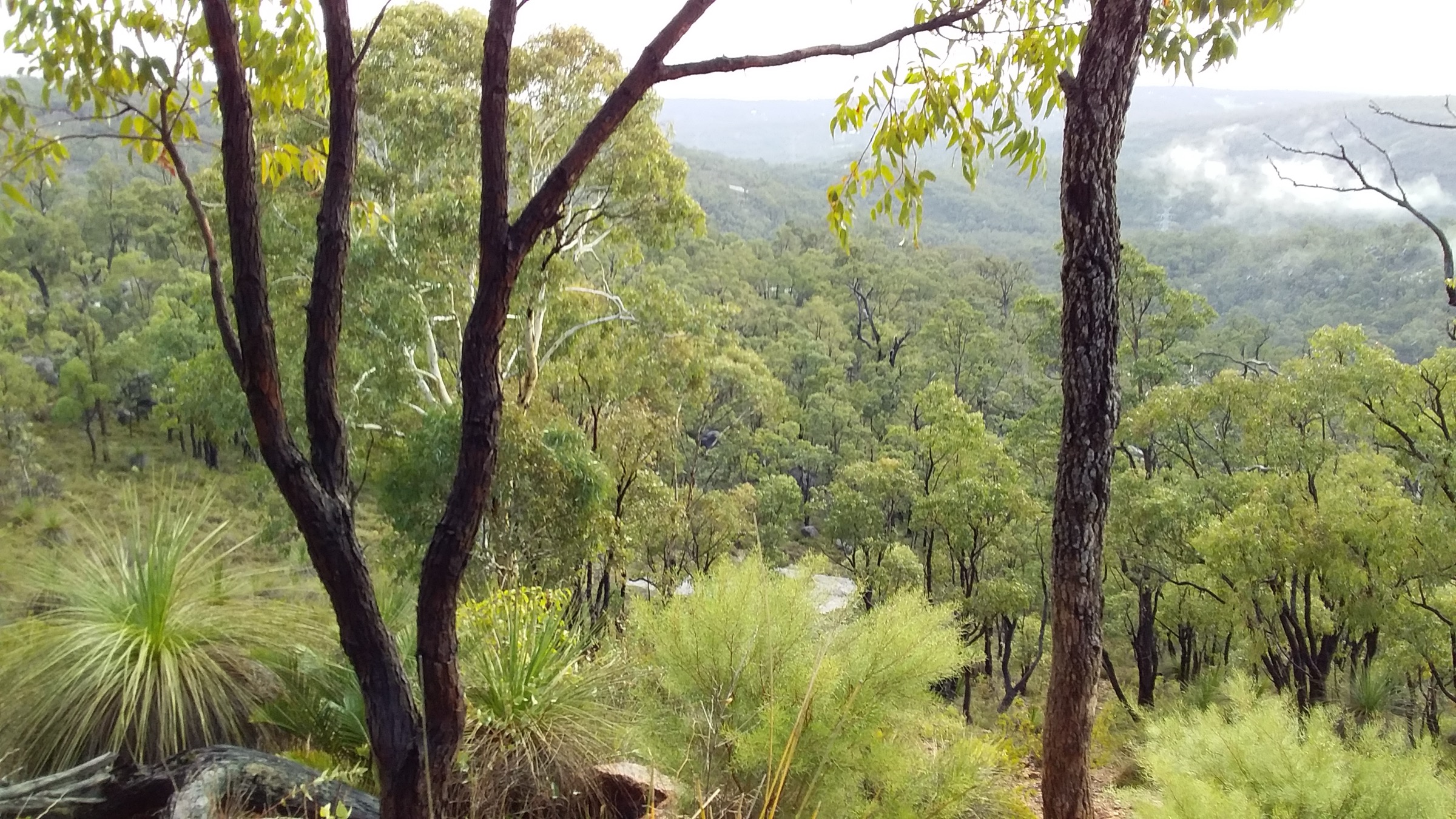 Australia — Kalamunda / Mundaring: Essential Day-Hikes