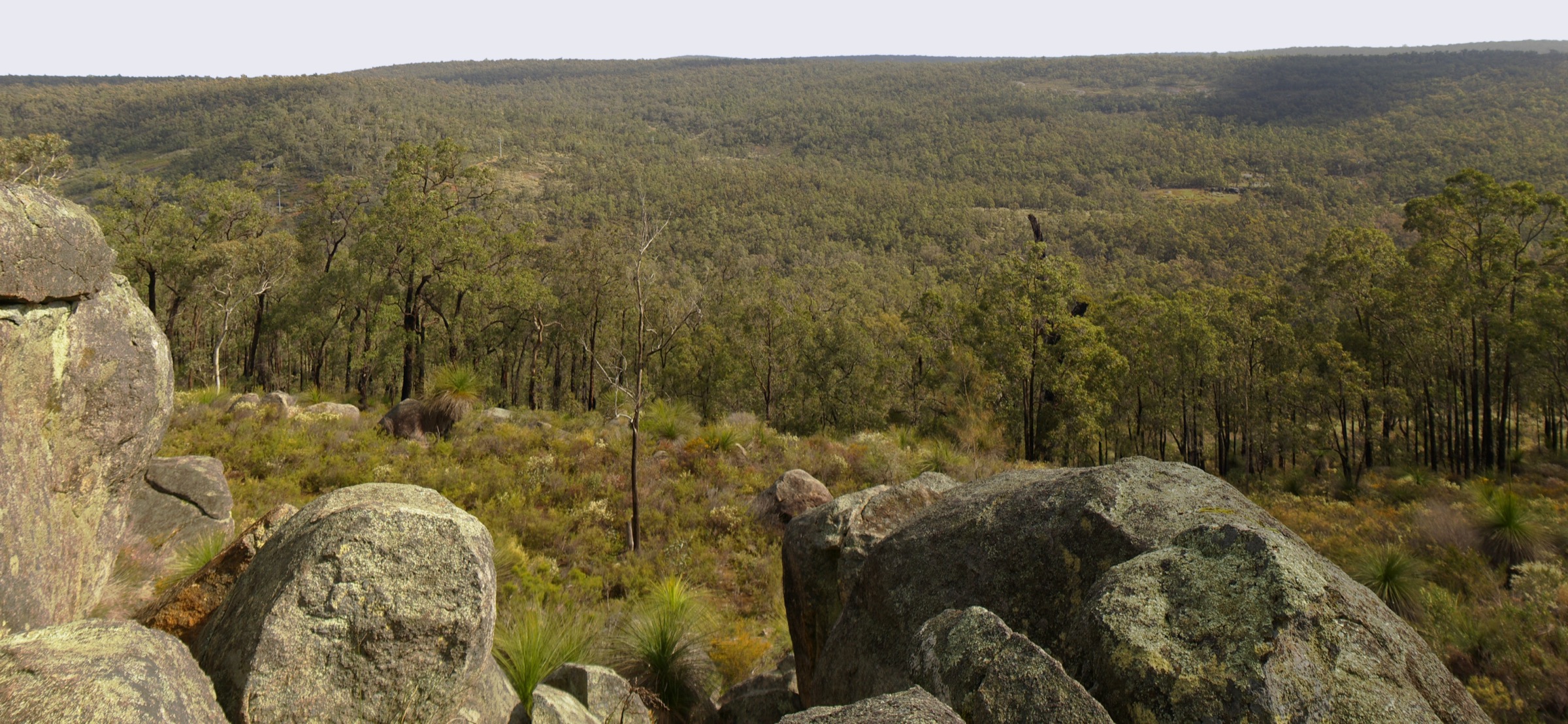 Panoramic view across the Helena Valley from the Darling Range