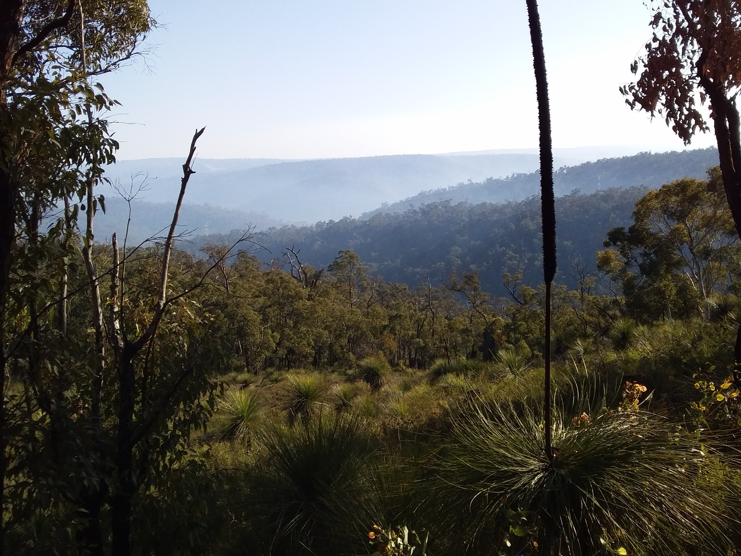 View across Kalamunda National Park from the Bibbulmun Track