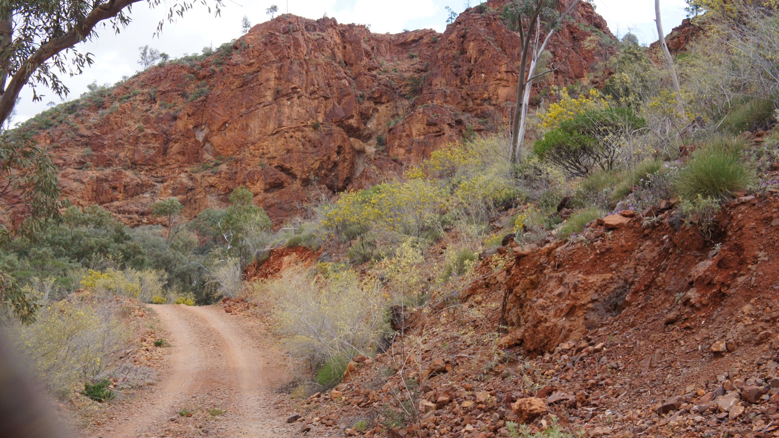 Stubbs Waterhole in Bararranna Gorge, Arkaroola