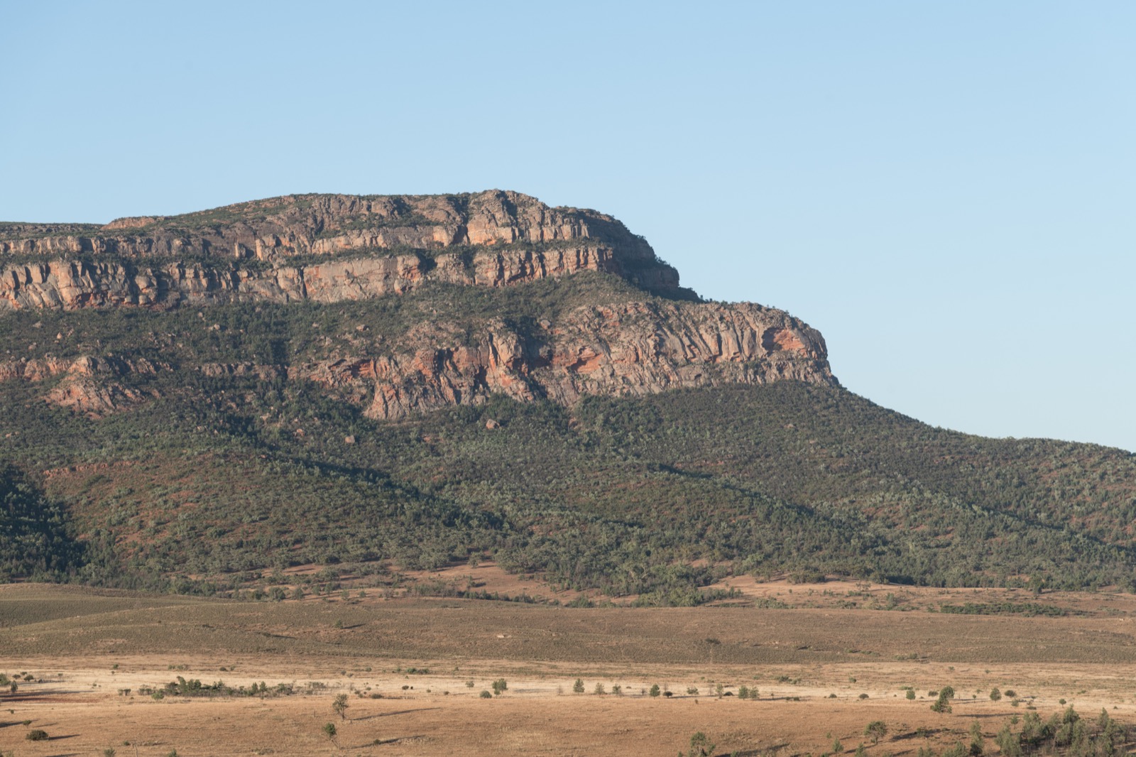 South view of Rawnsley Bluff, Flinders Ranges