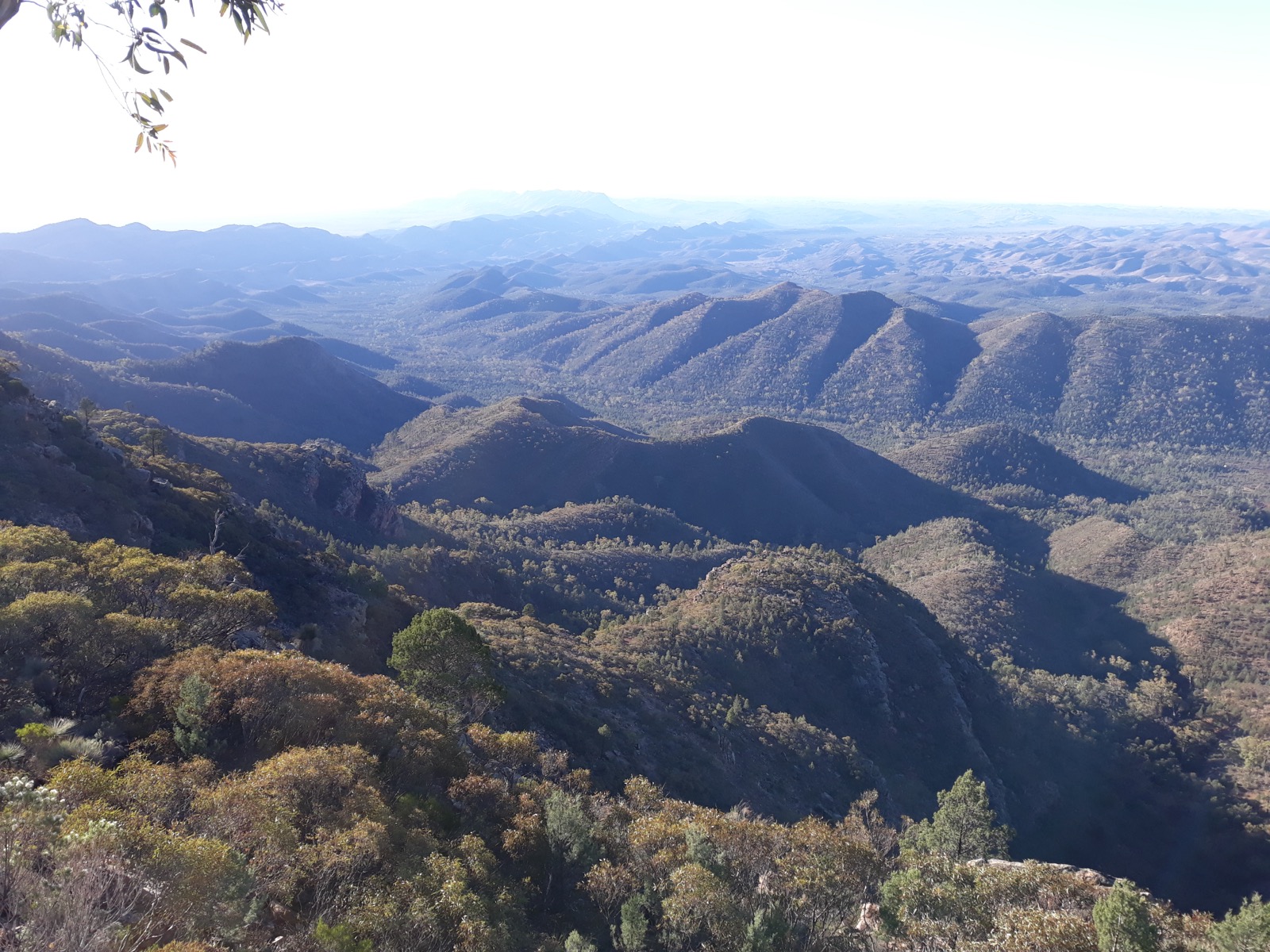View north from the ascent of Ngarri Mudlanha / St Mary Peak