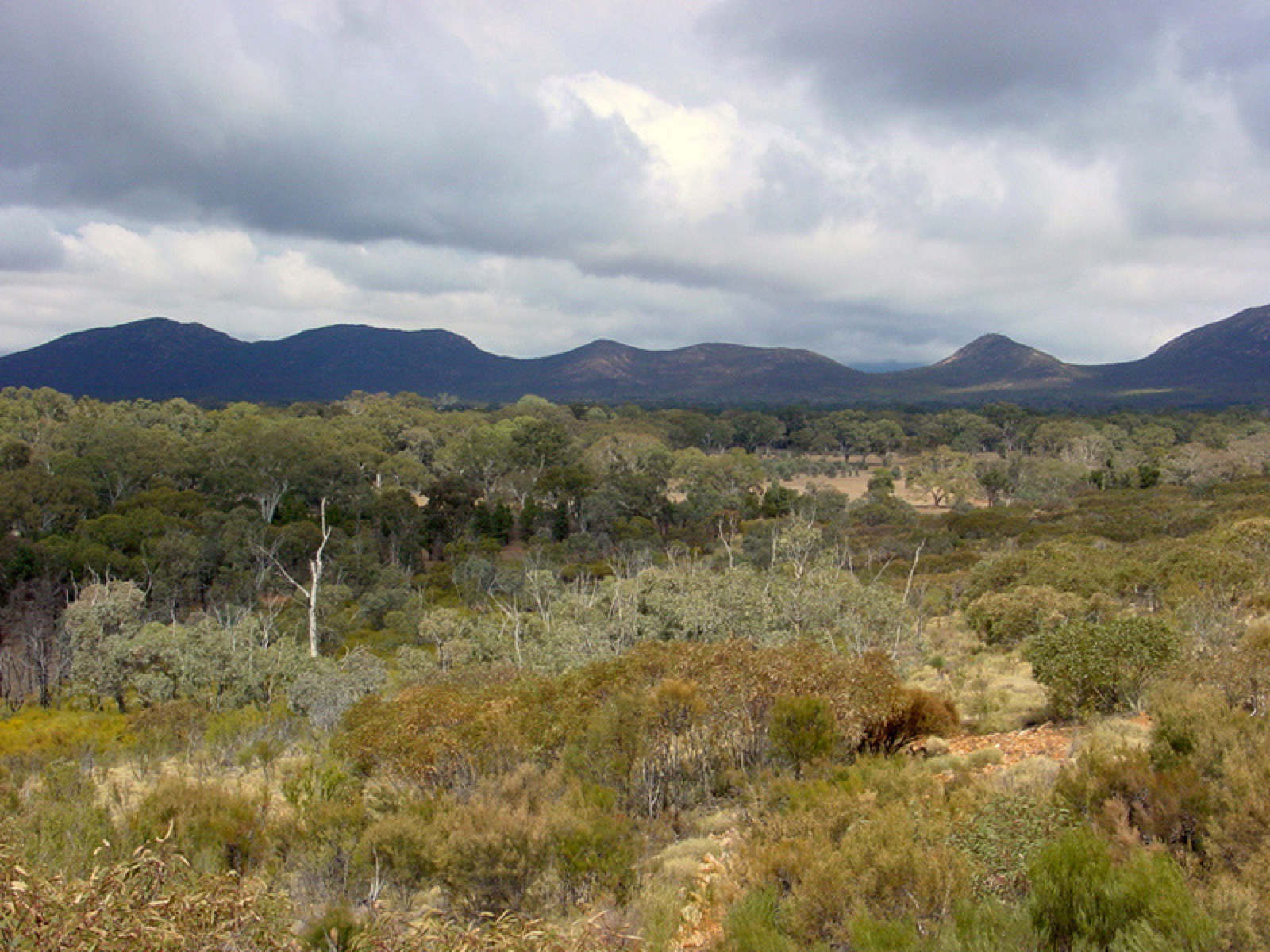 View from Wangara Lookout into Wilpena Pound