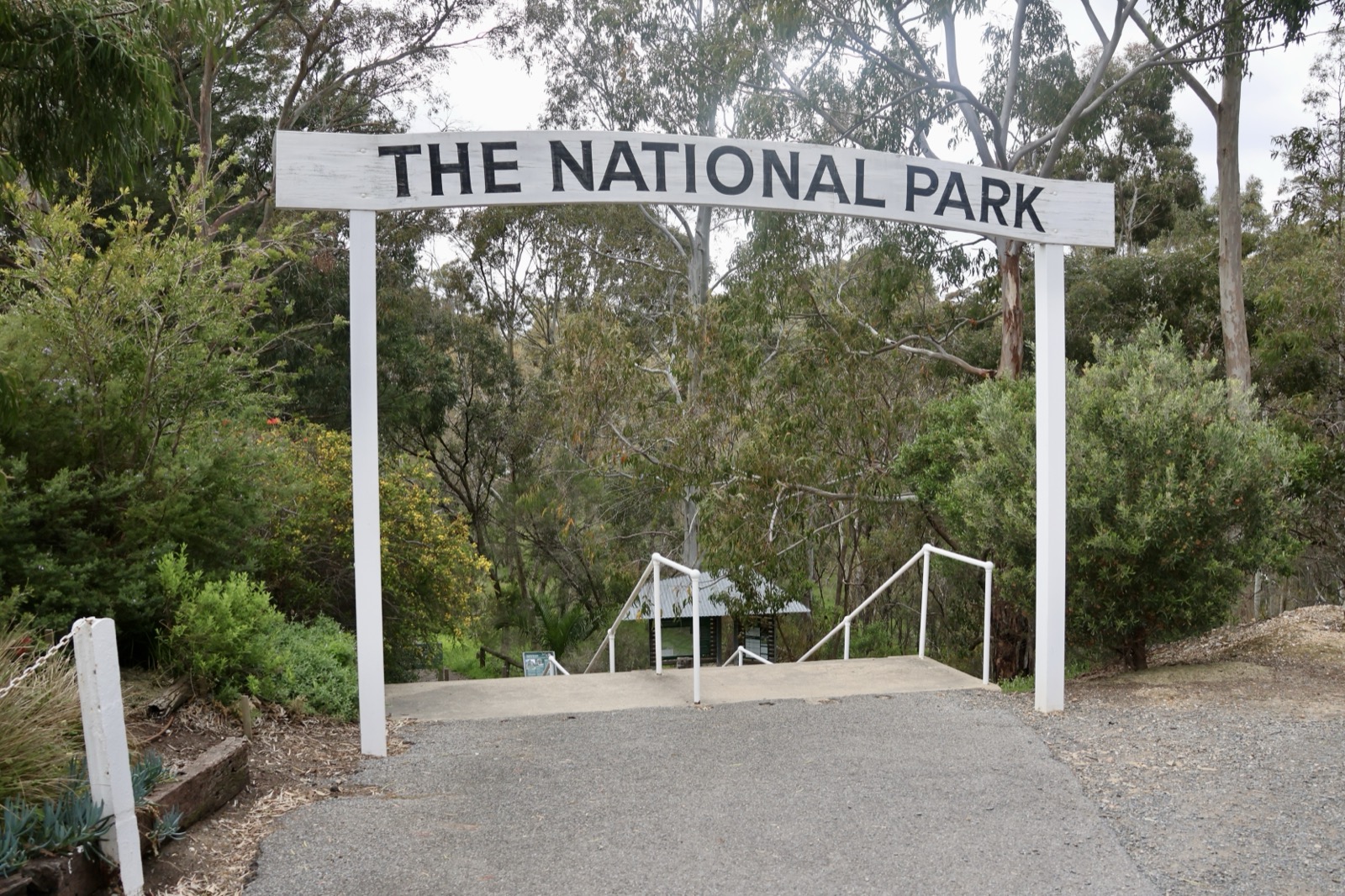 Eucalypt woodland in Belair National Park