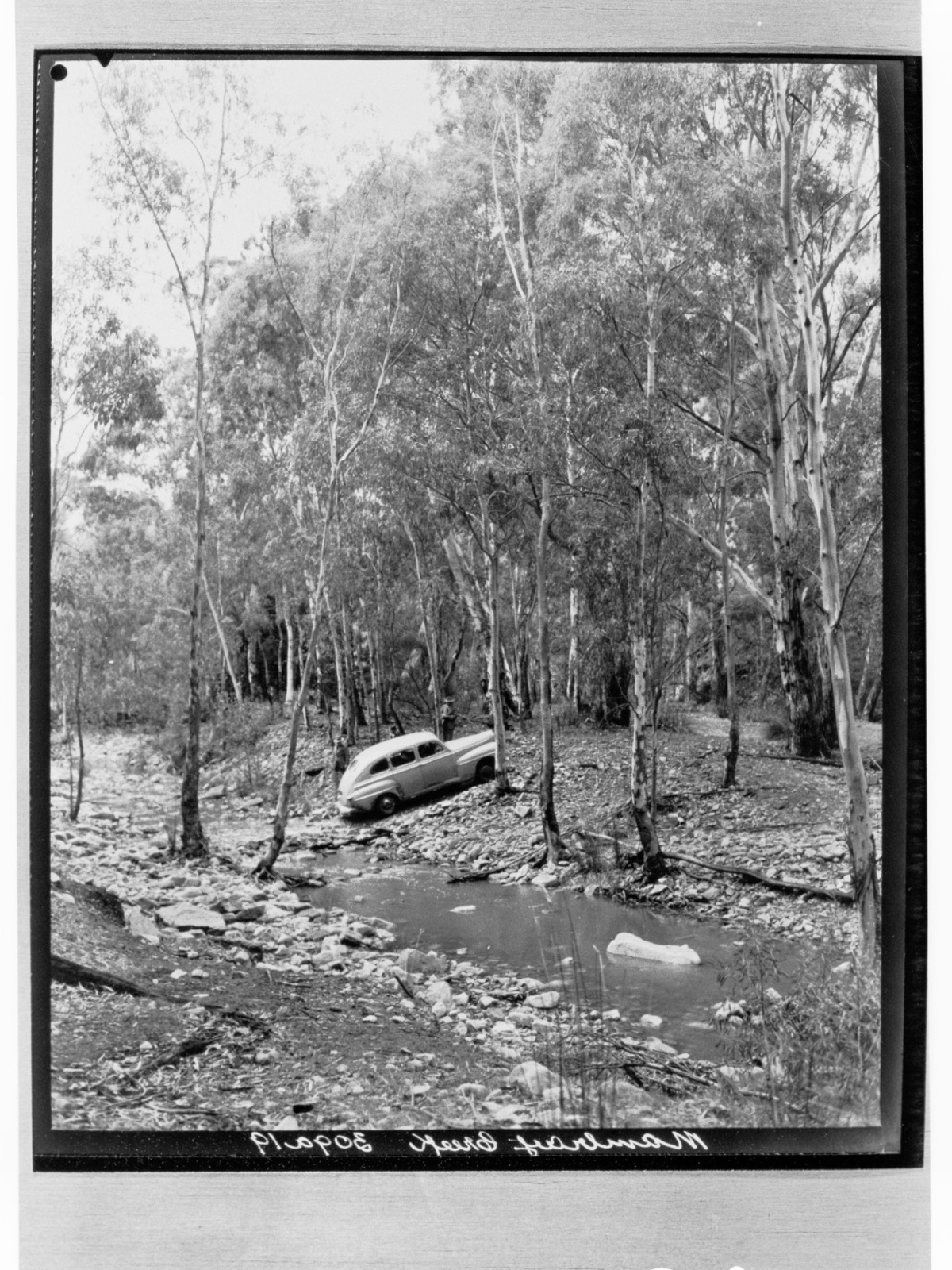 Mambray Creek valley in the Southern Flinders Ranges