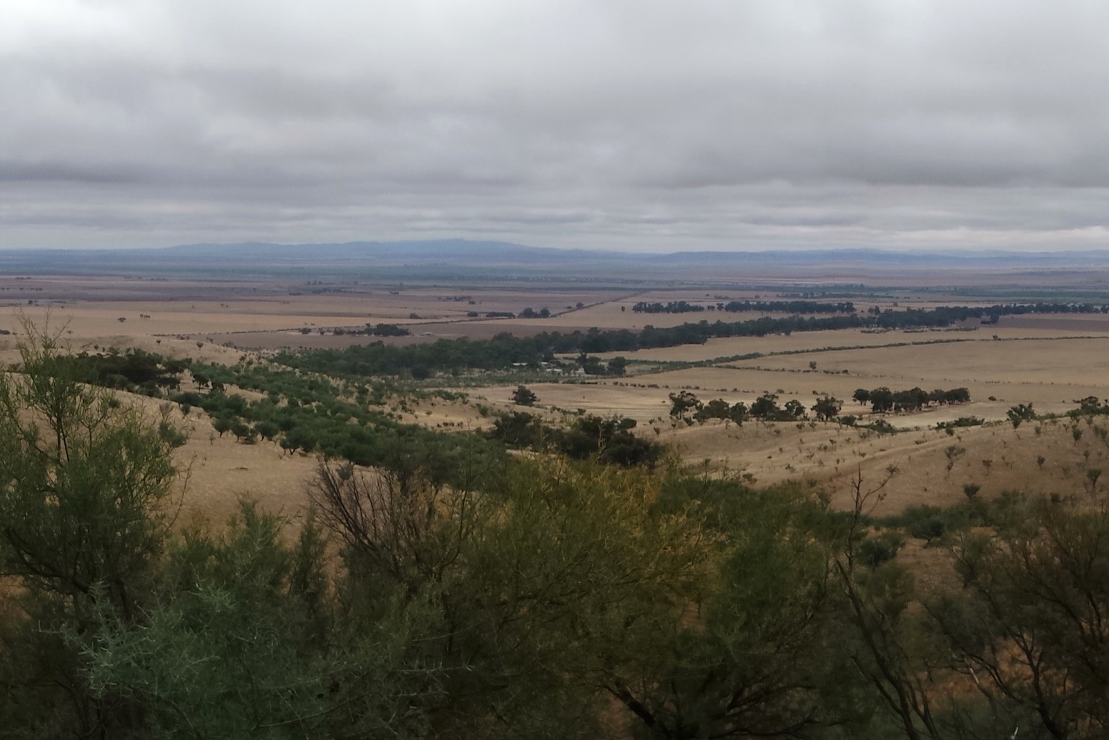 Willochra Plain seen from the ridges east of Wilmington in the Southern Flinders