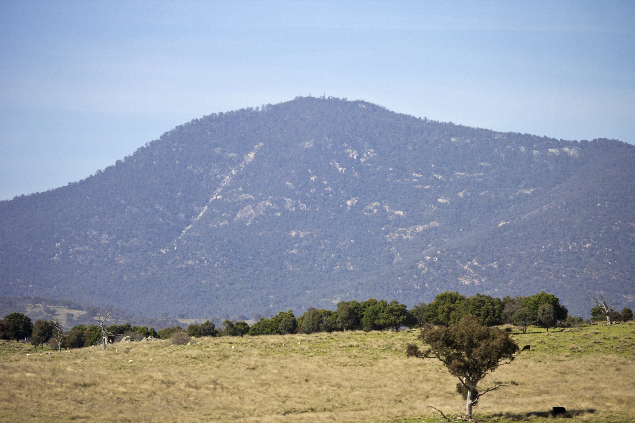 Mount Tennent viewed from Point Hut Road in Paddys River, ACT, the summit above the Namadgi Visitor Centre
