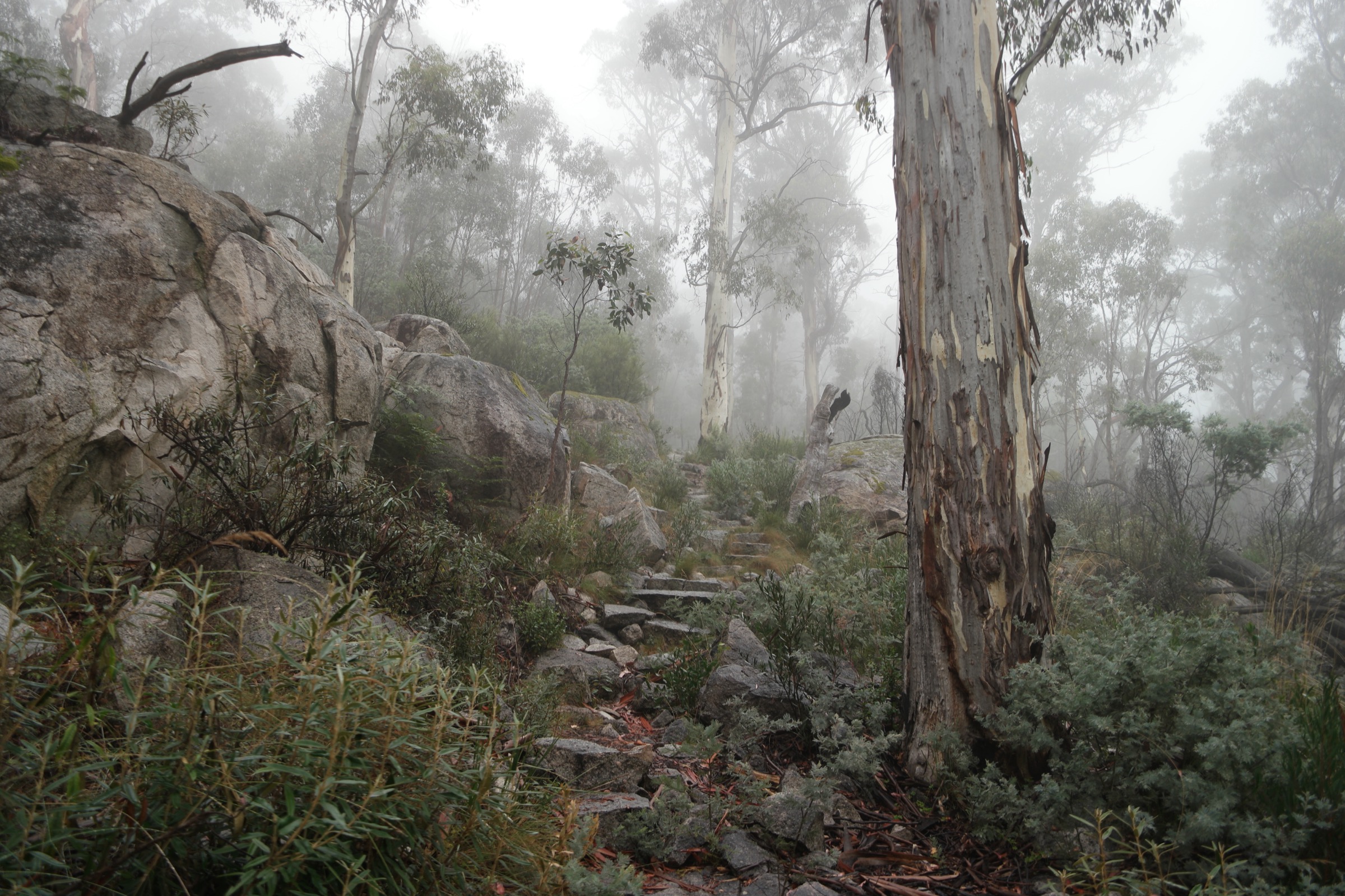 Square Rock granite tor on the Square Rock Walking Track, Namadgi National Park, ACT