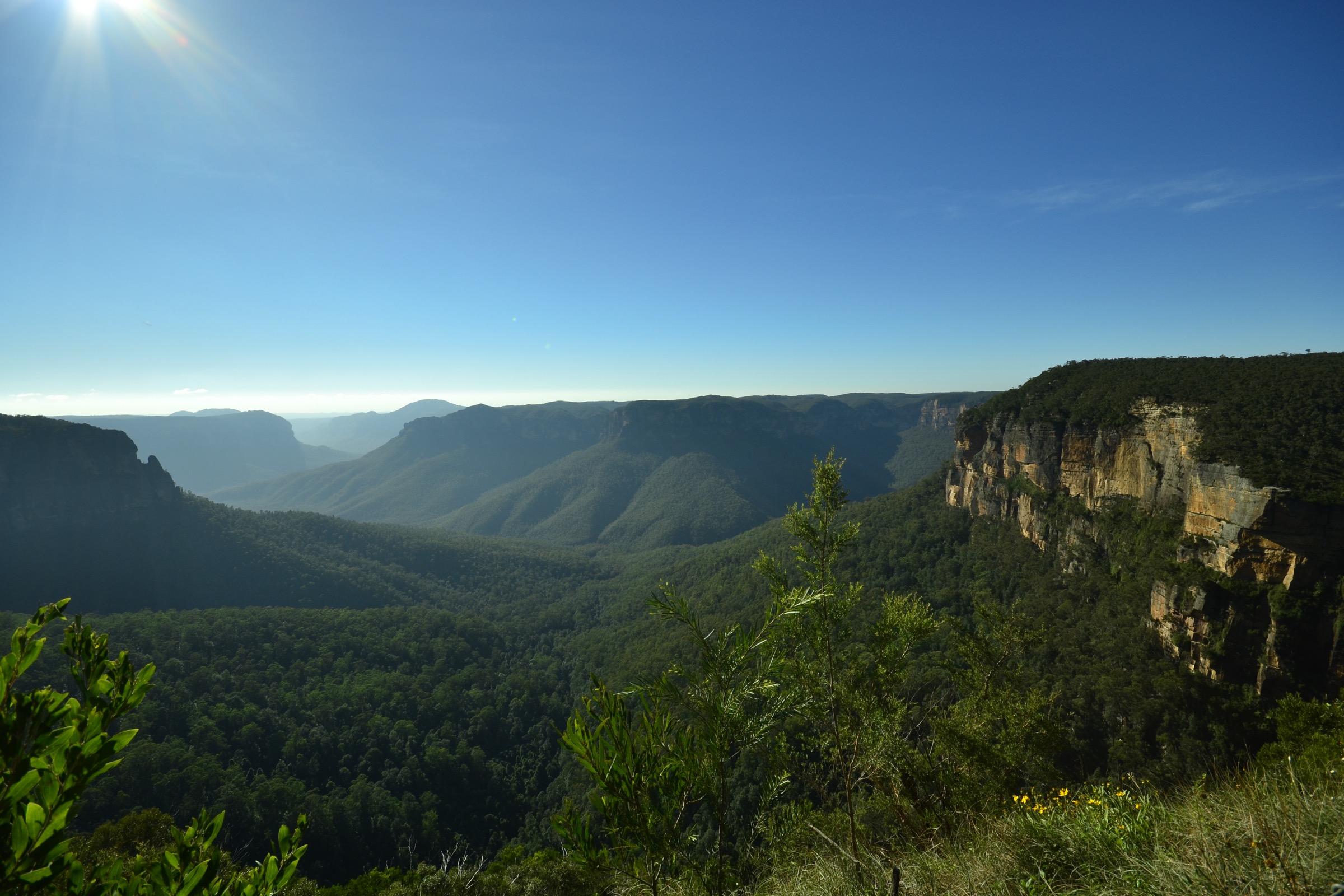 View from Evans Lookout across the upper Grose Valley near the Grand Canyon Track