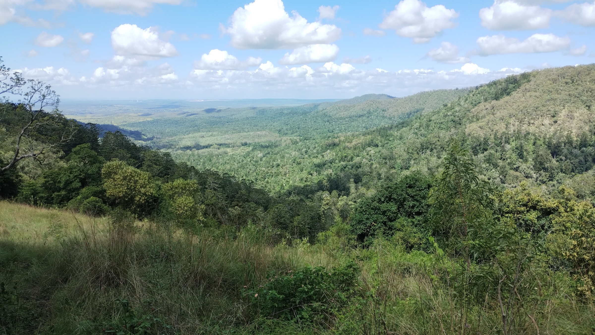 Grassland view from Pine Gorge Lookout, Bunya Mountains