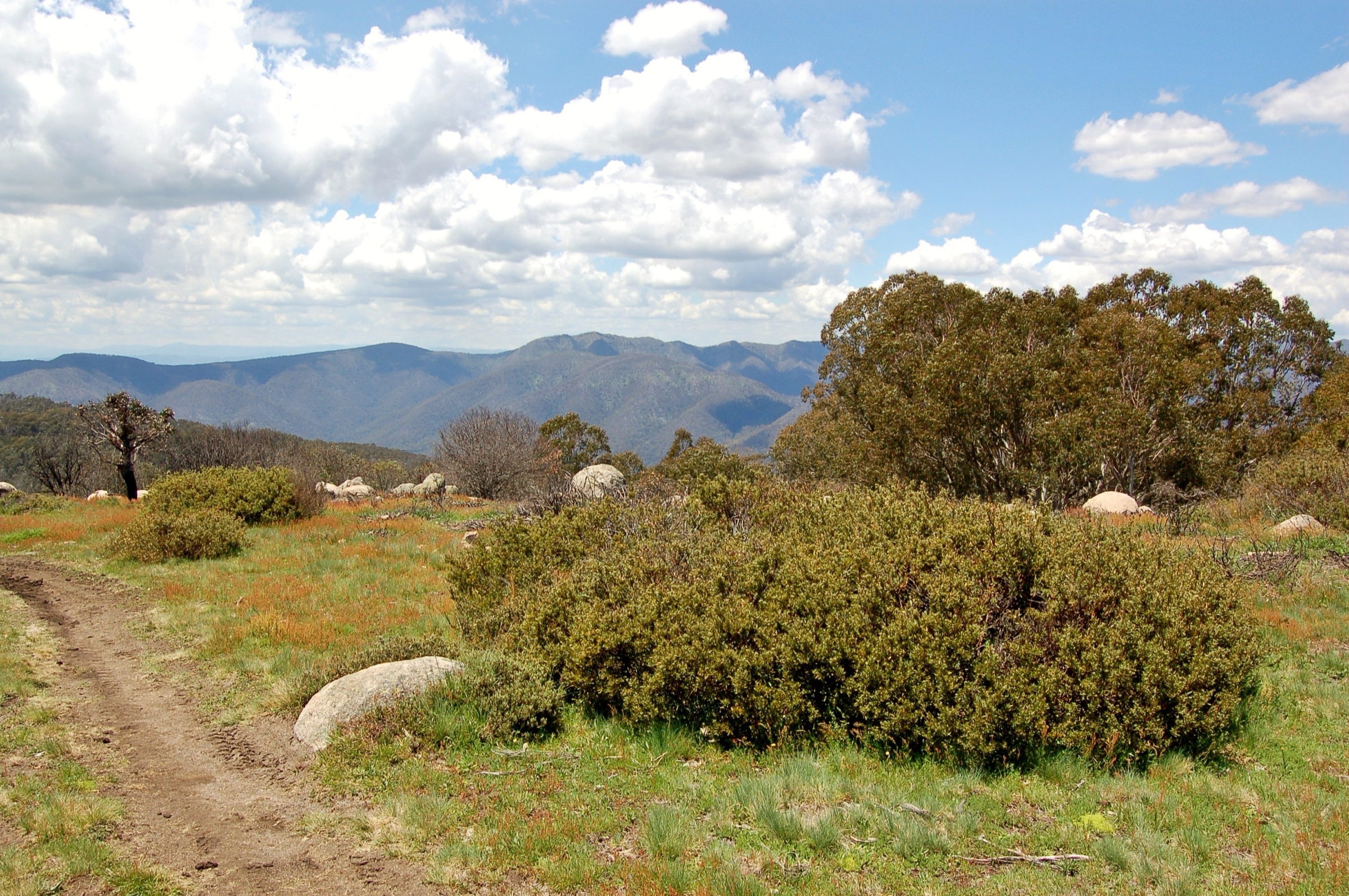 View from Mount Stirling across the Victorian High Country