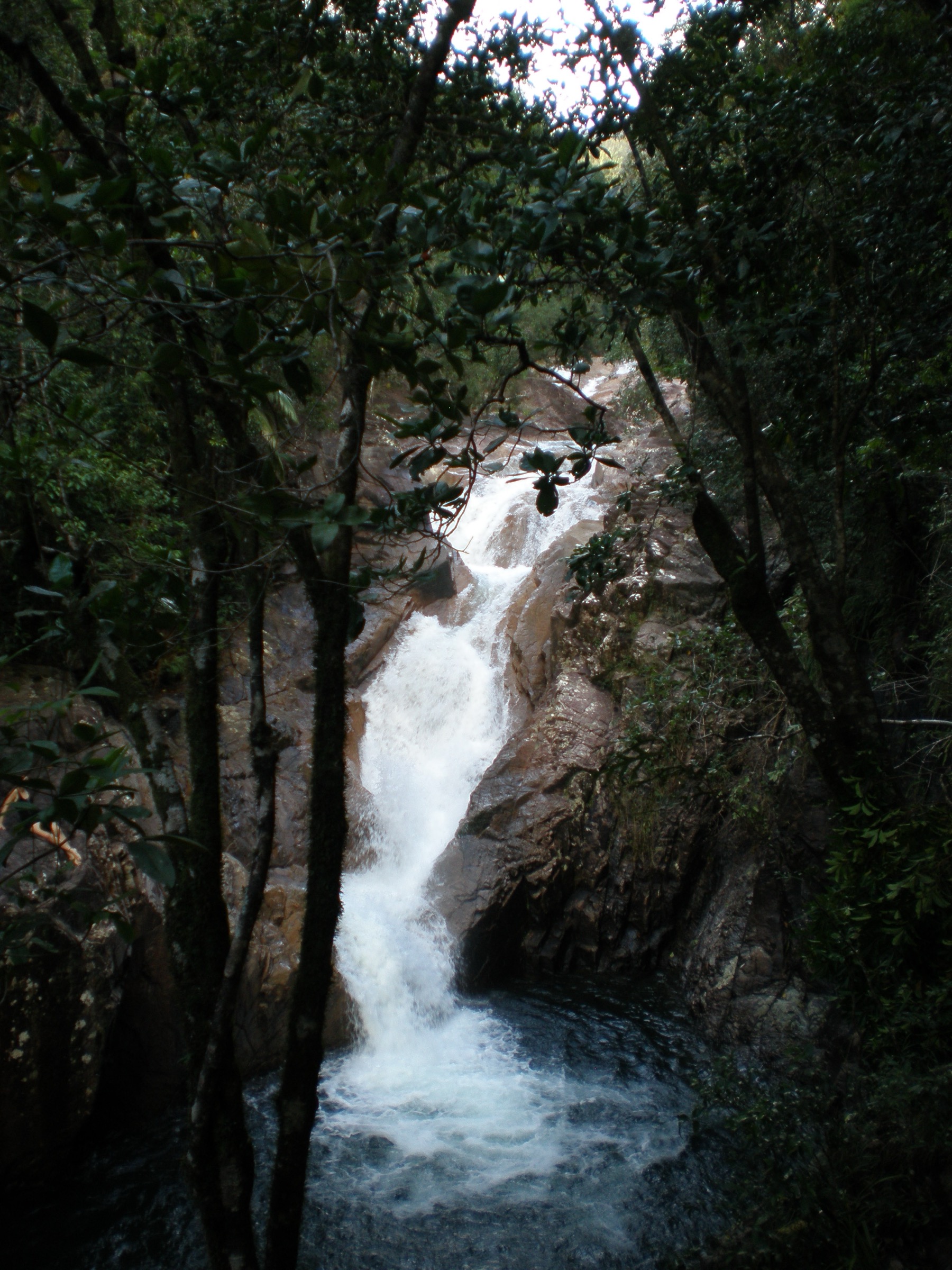 Araluen Cascades in Finch Hatton Gorge, Eungella National Park