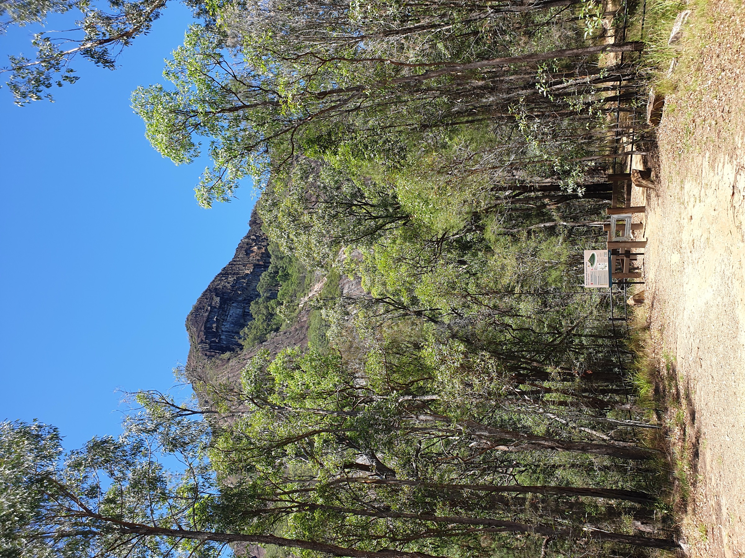 Mount Beerwah walking-track entrance and the south face of the peak