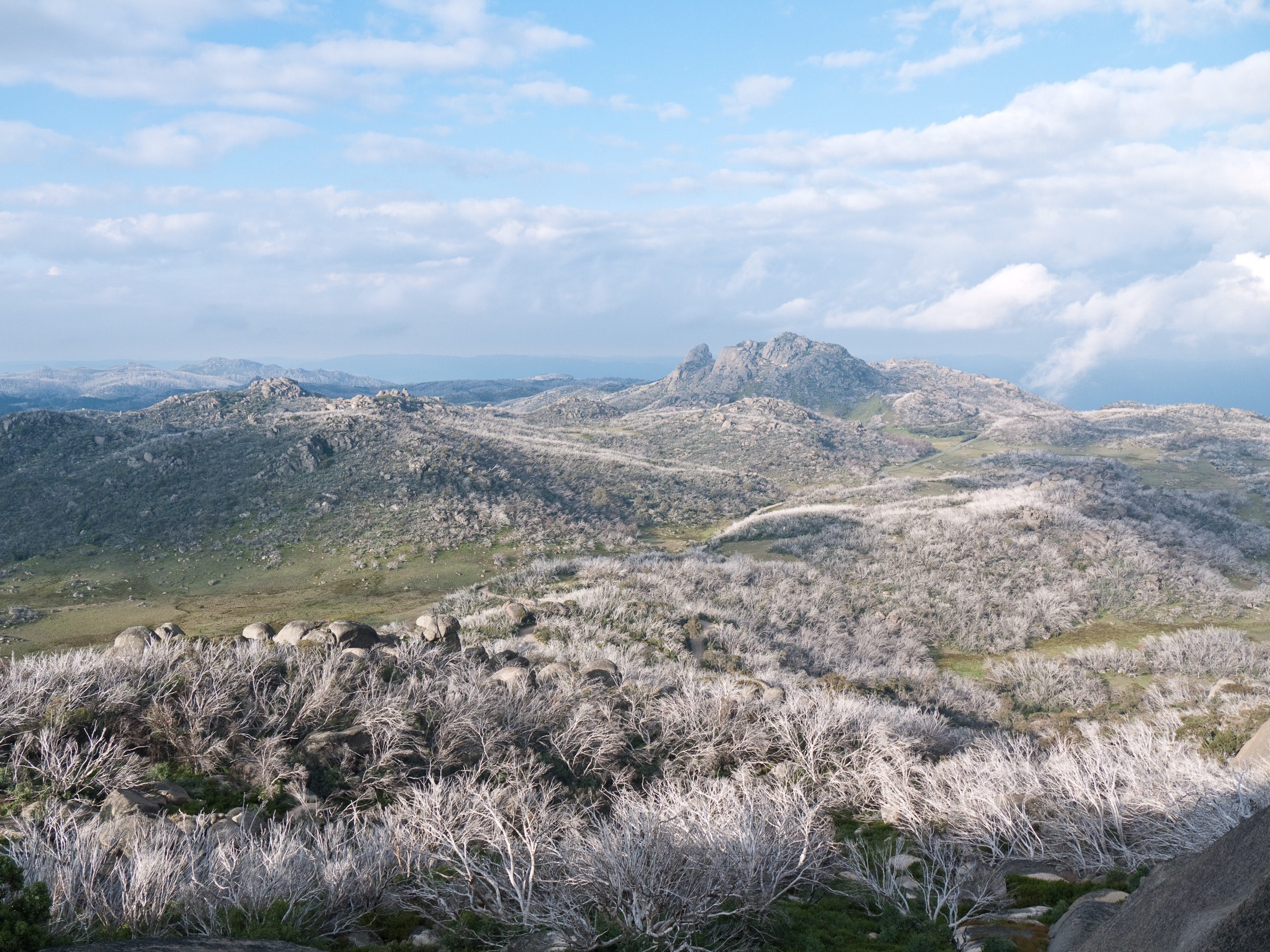 Granite tors and exfoliation domes on the Mount Buffalo plateau