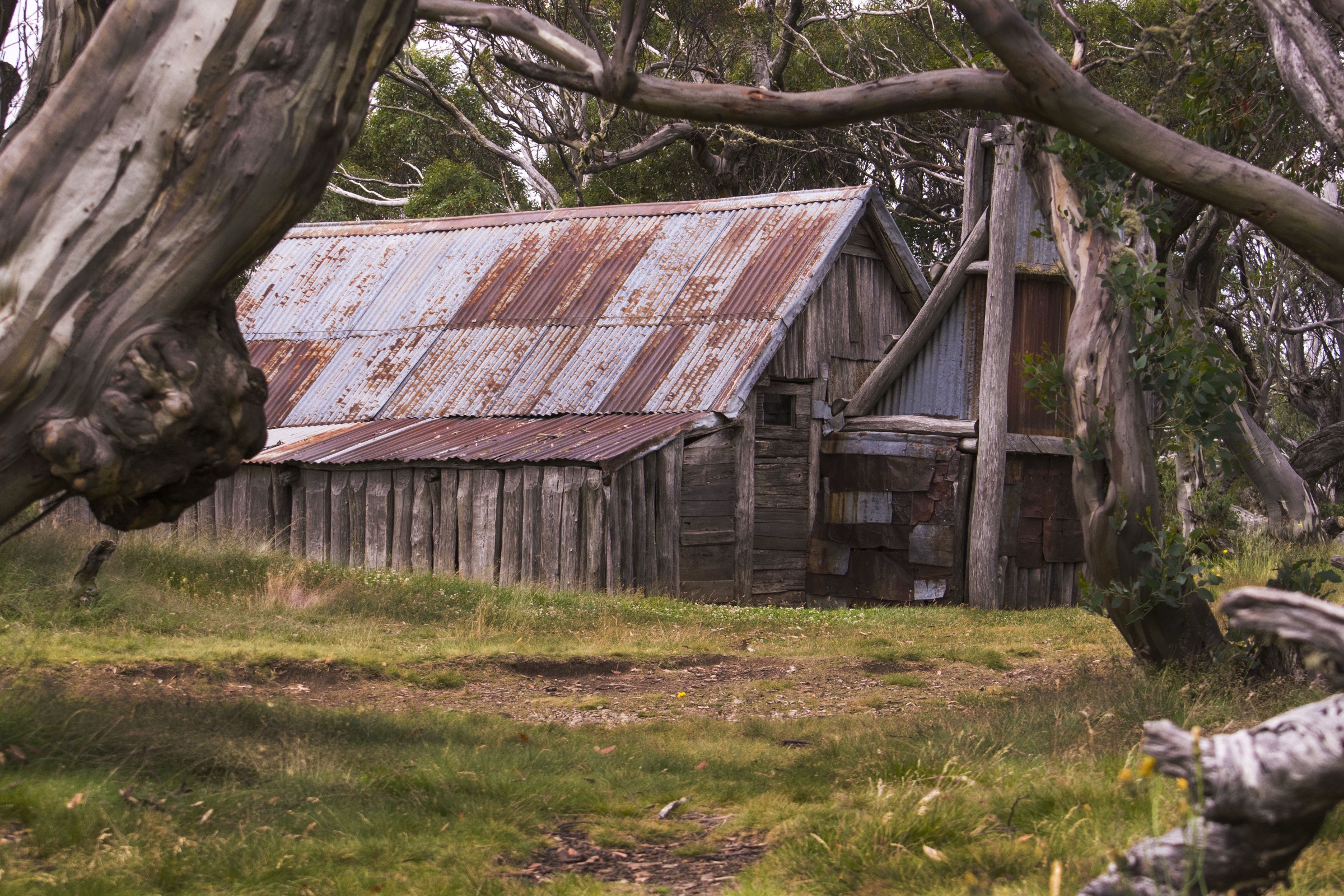 Wallaces Hut on the Bogong High Plains, the oldest surviving hut in the Victorian Alps