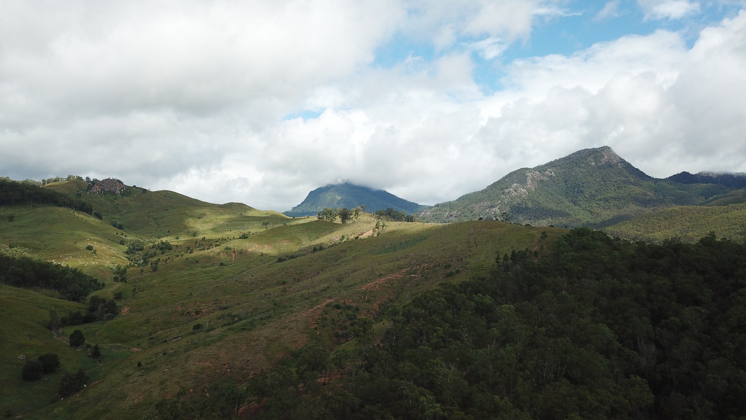 Australia — Scenic Rim / Main Range: Essential Day-Hikes