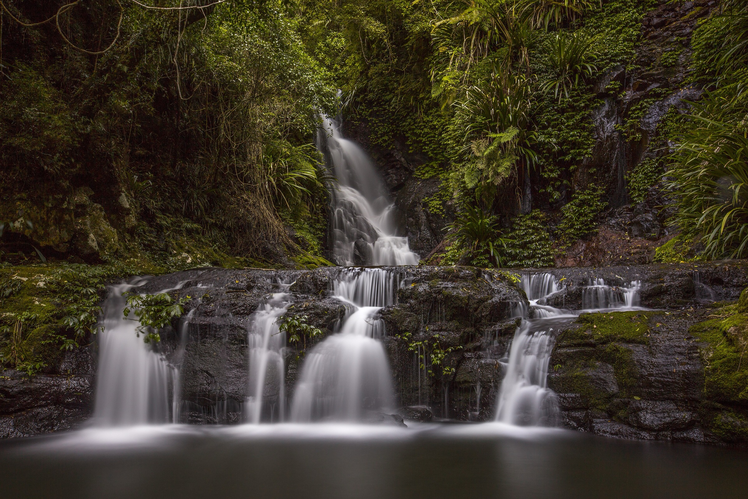 Elabana Falls in Lamington National Park on the Box Forest Circuit