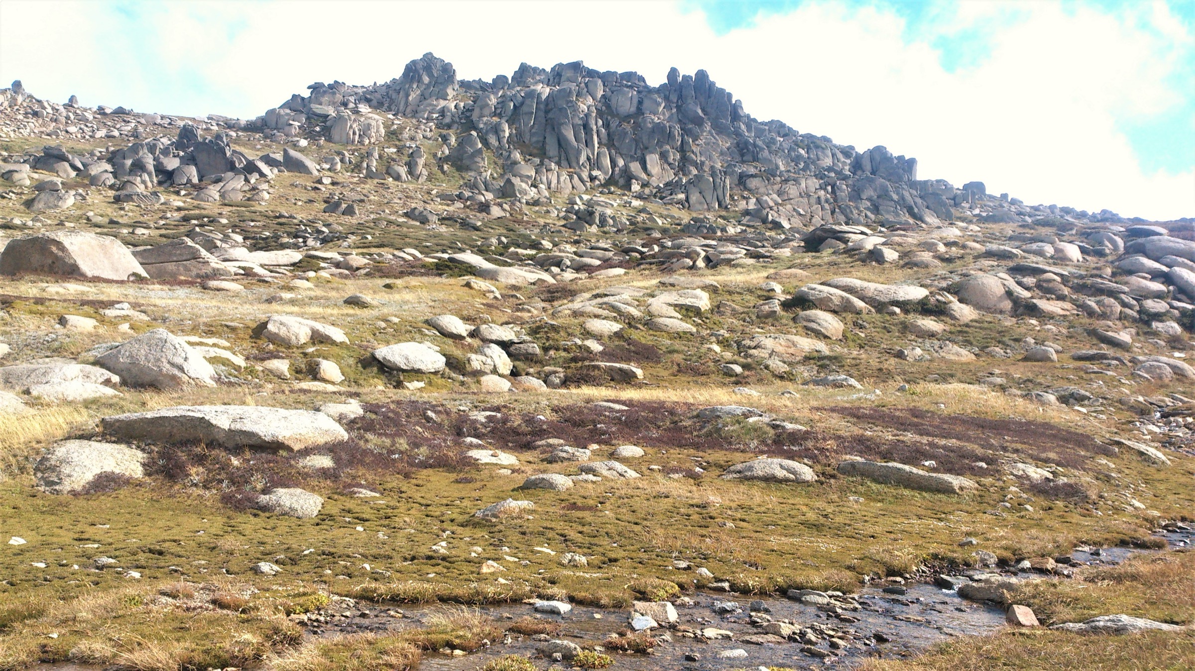 Rocky granite outcrops of the Ramshead Range on the Thredbo Kosciuszko Walk, Kosciuszko National Park, New South Wales