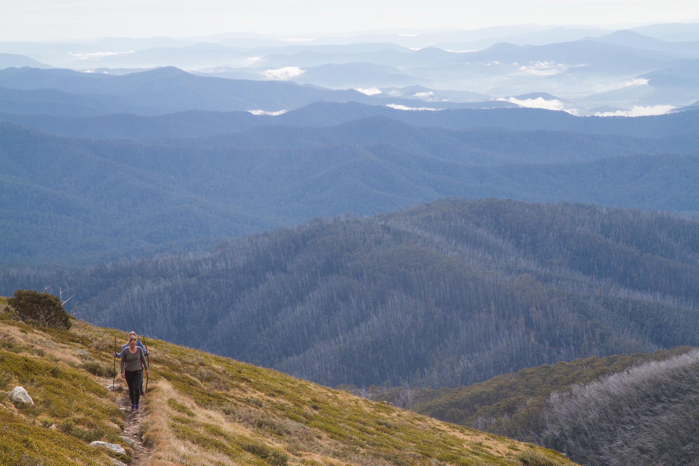 Approach to the summit plateau of Mount Bogong, Alpine National Park, Victoria