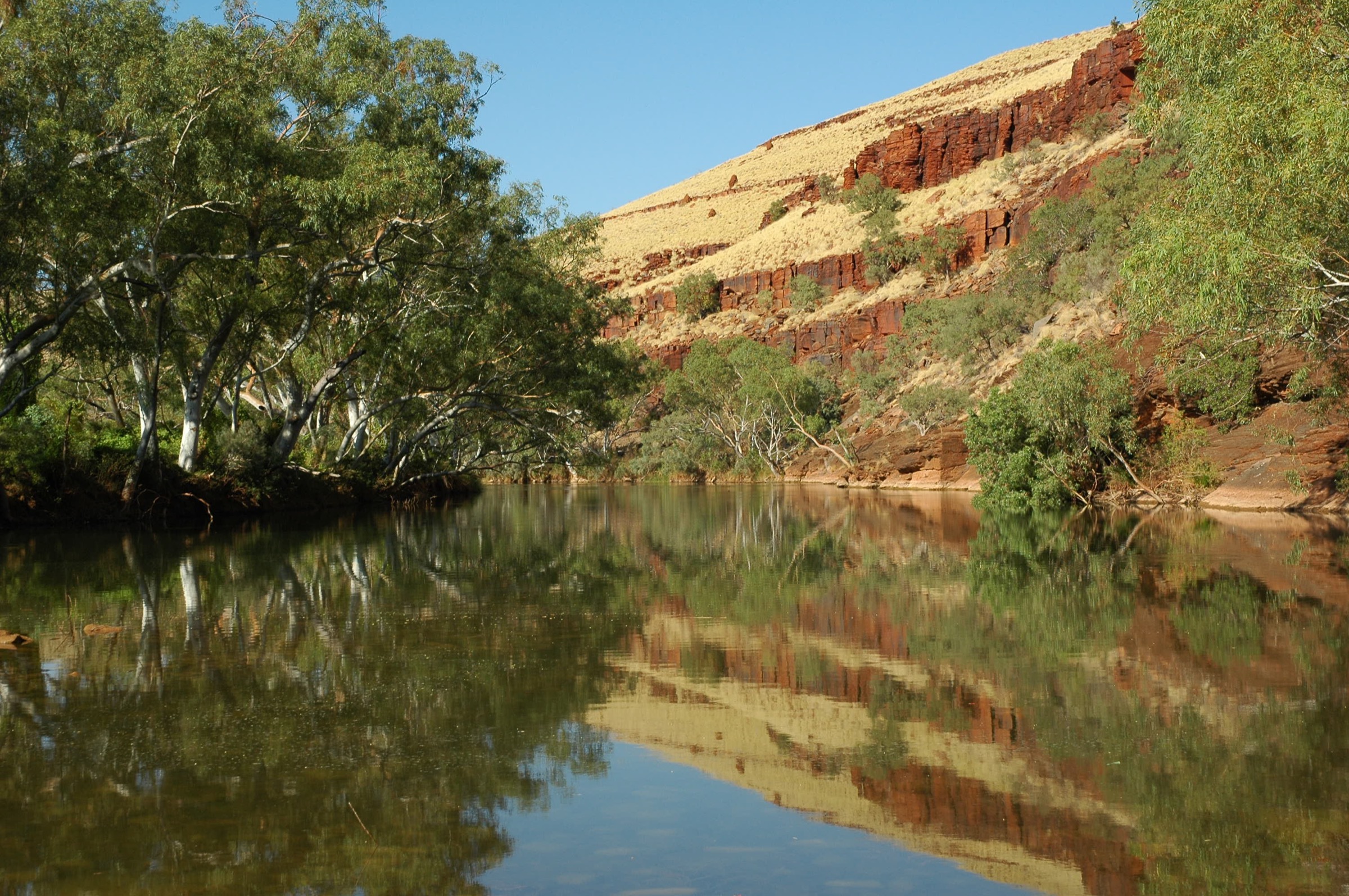 Chichester Range escarpment above a Fortescue pool