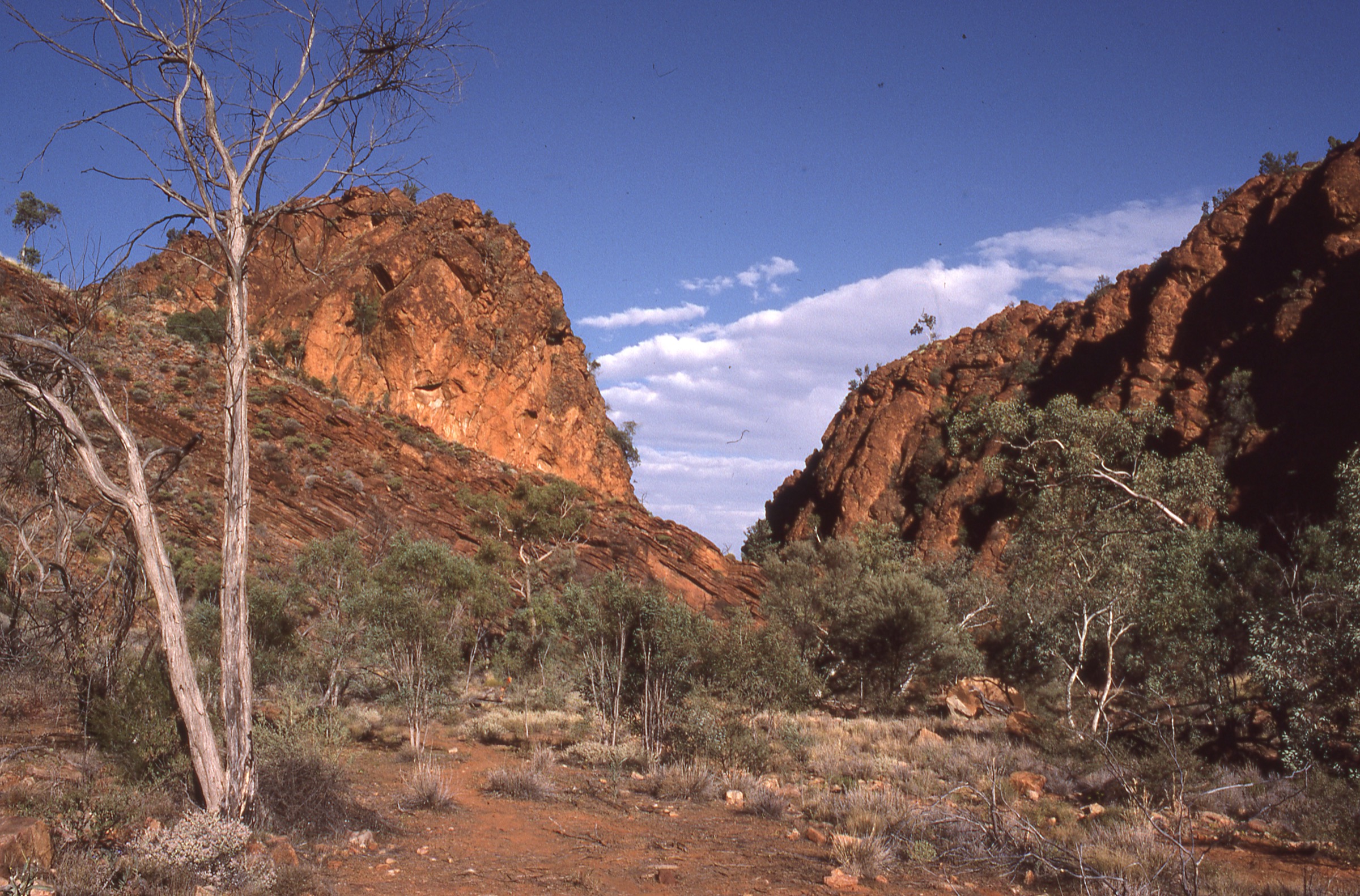 Australia — East MacDonnell Ranges: essential day-hikes