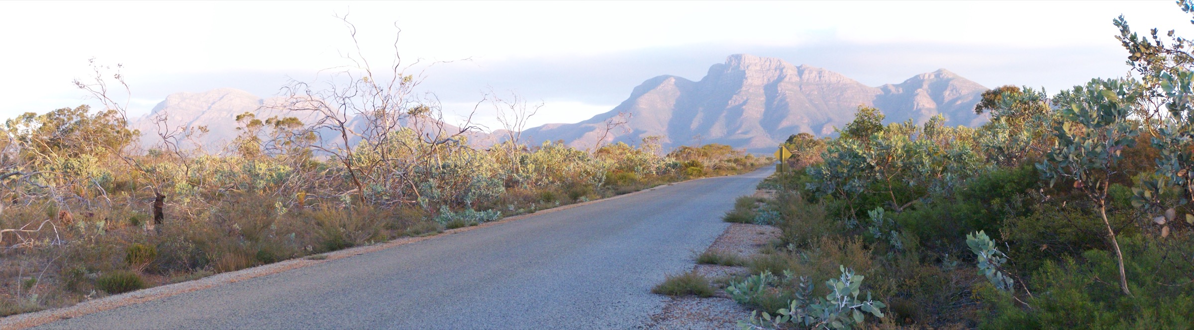 Panorama from the summit of Bluff Knoll, Stirling Range National Park