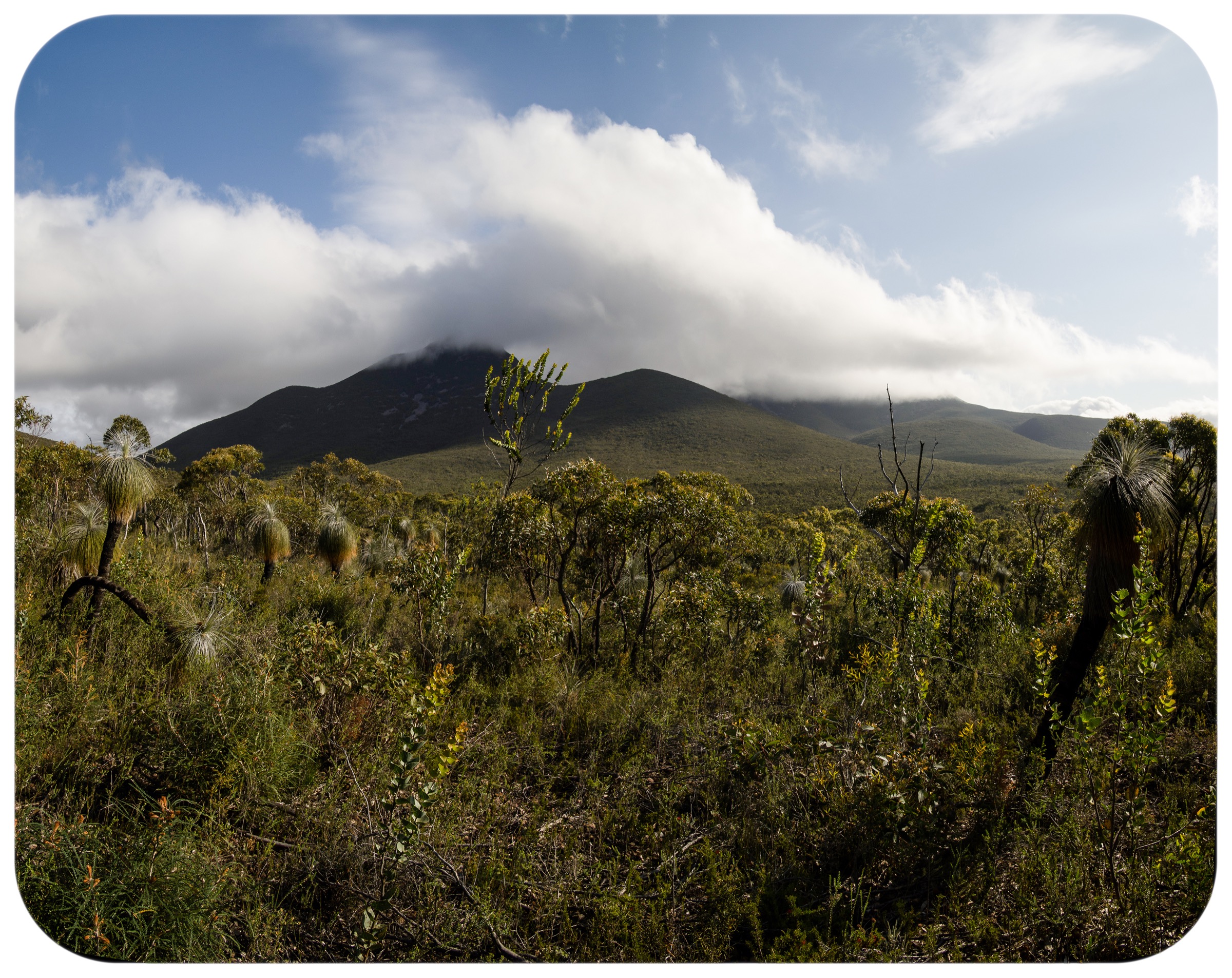 Mount Hassell in the central Stirling Range