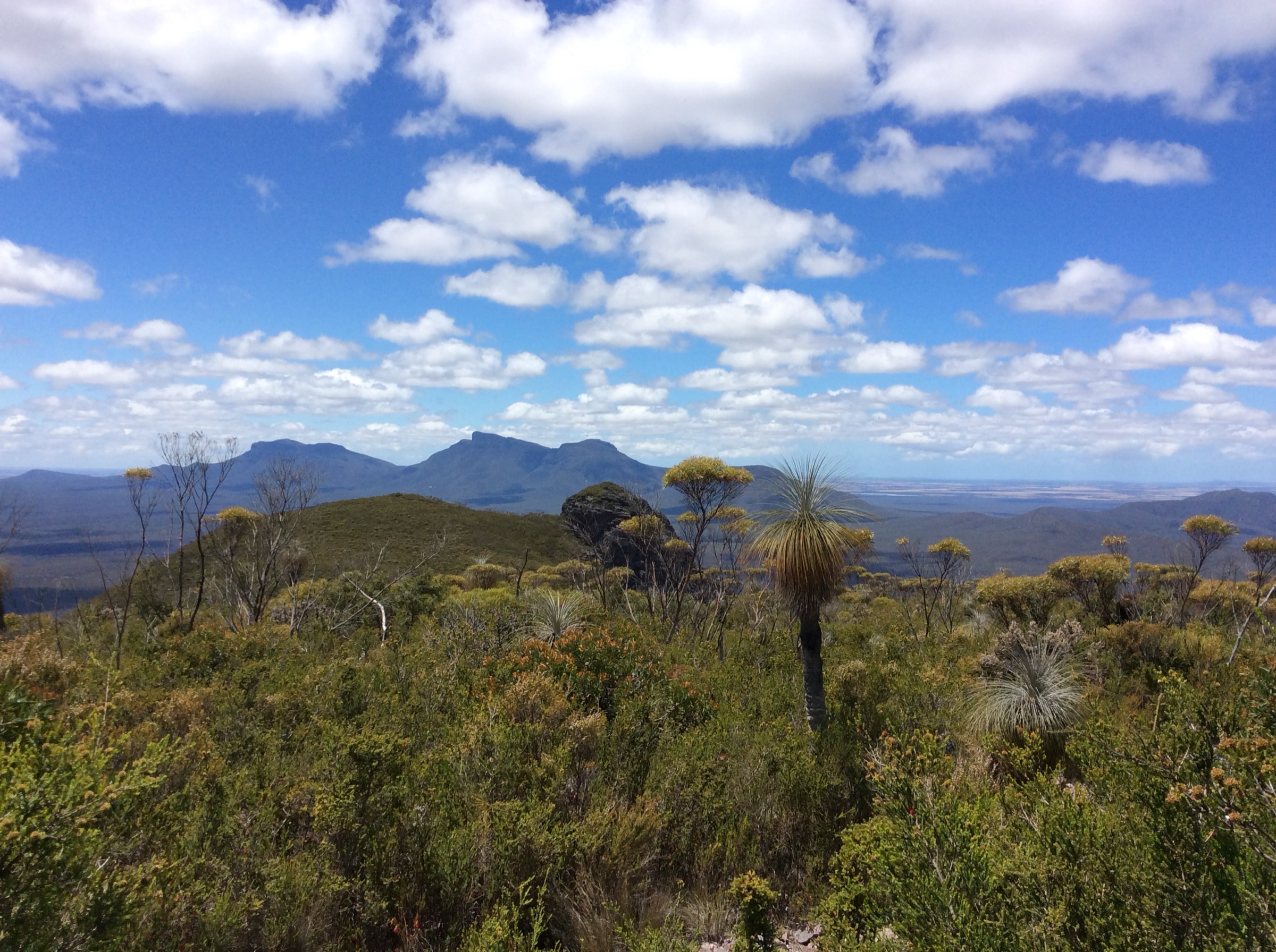 Mount Trio in the central Stirling Range, viewed from the plain