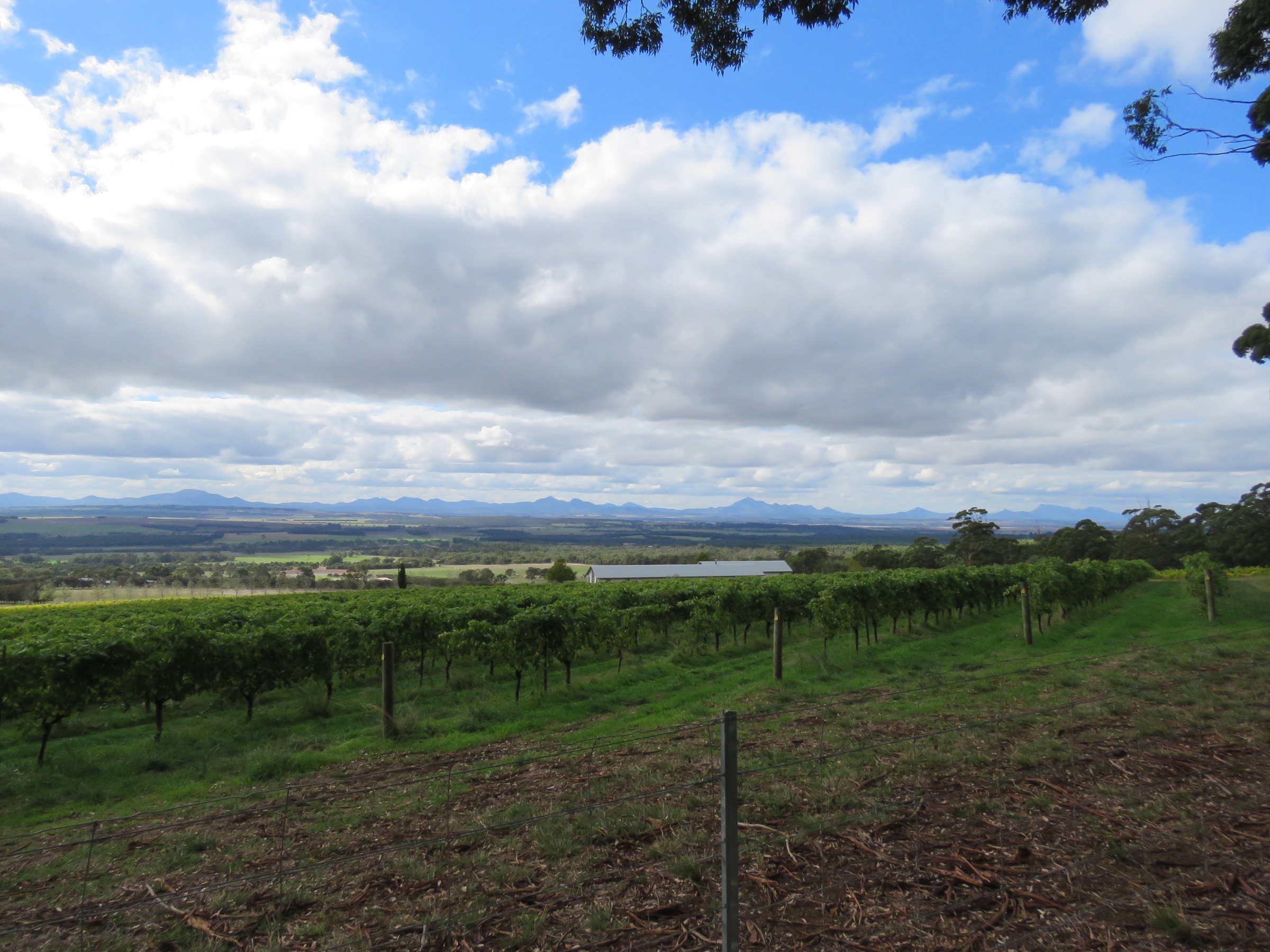 Australia — Western Stirling Range: Essential Day-Hikes