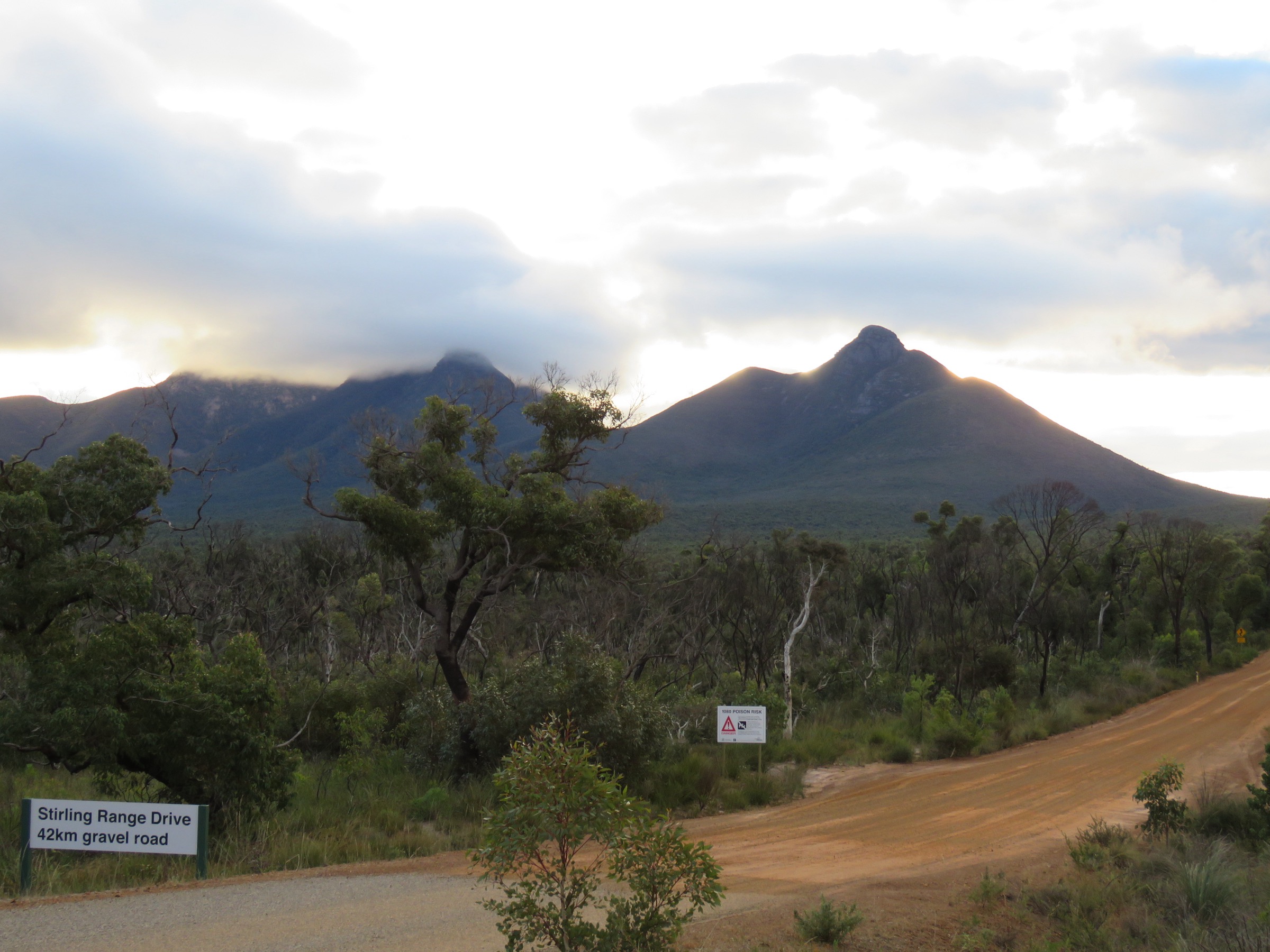 Northern approach to the Stirling Range from the wheatbelt plain