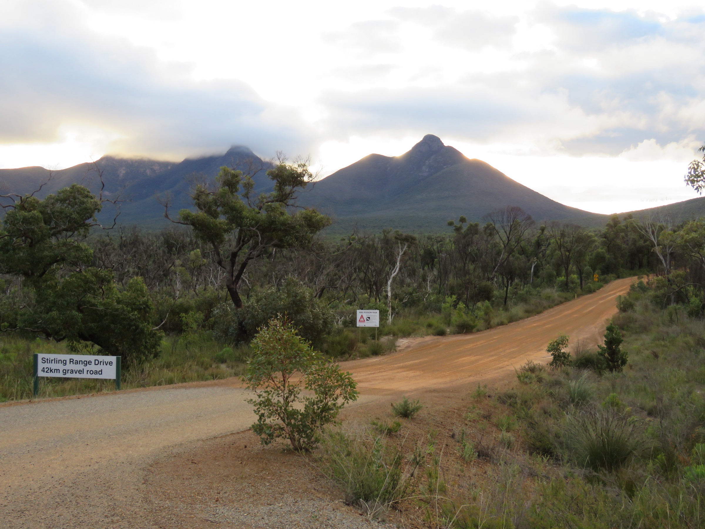 Stirling Range Drive, the unsealed scenic road through the western Stirling Range