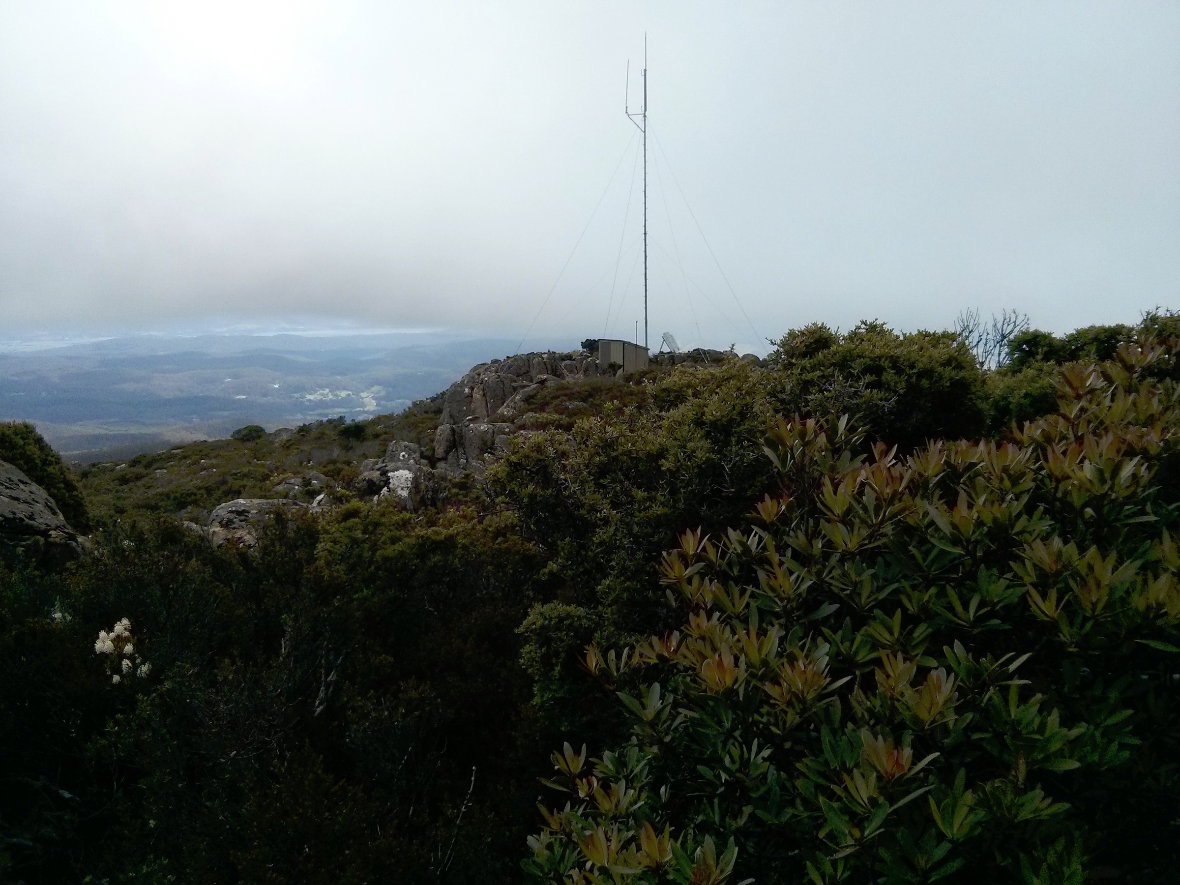 View towards the northwest from near the summit of Mount Arthur, Tasmania, Australia