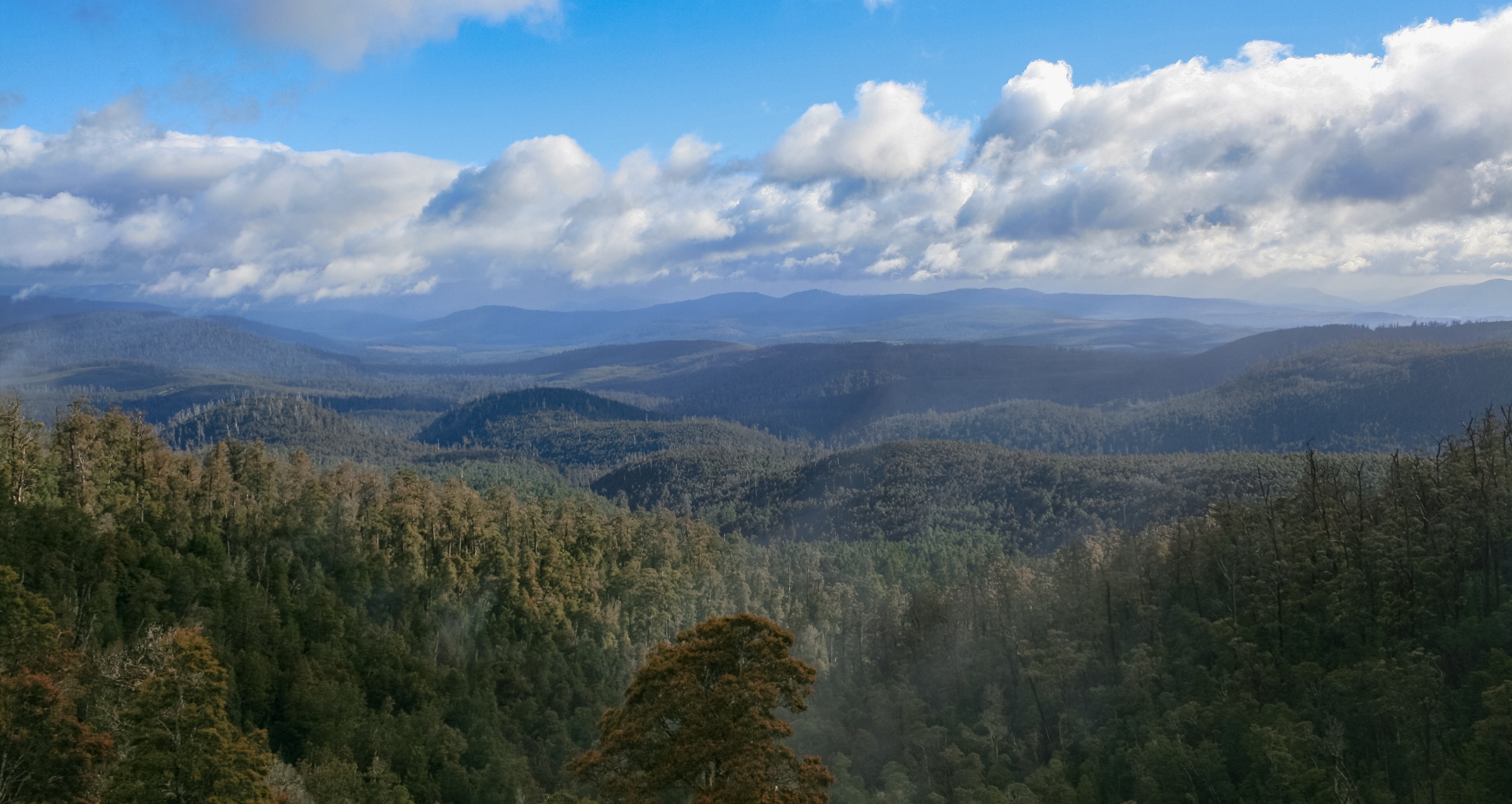 Australia — Hartz Mountains: essential day-hikes