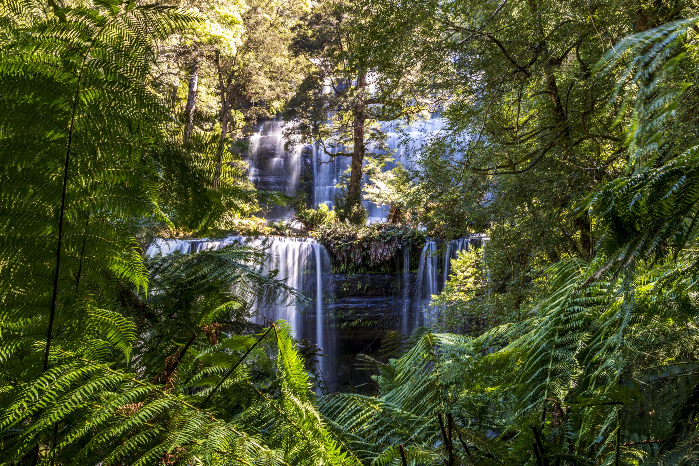 Australia — Mount Field and Florentine Valley: day-hikes