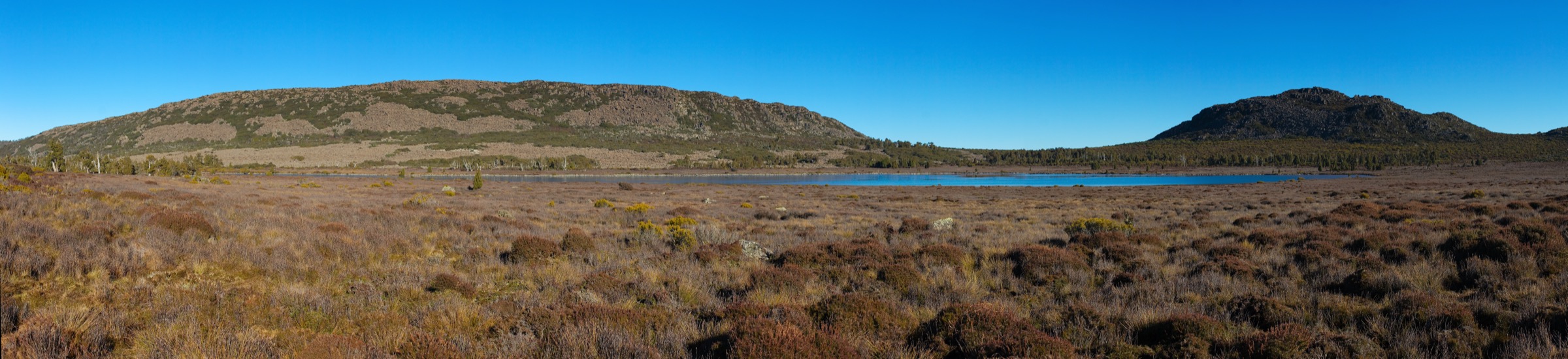 Pine Lake on the Central Plateau, with pencil pines and dolerite tarns