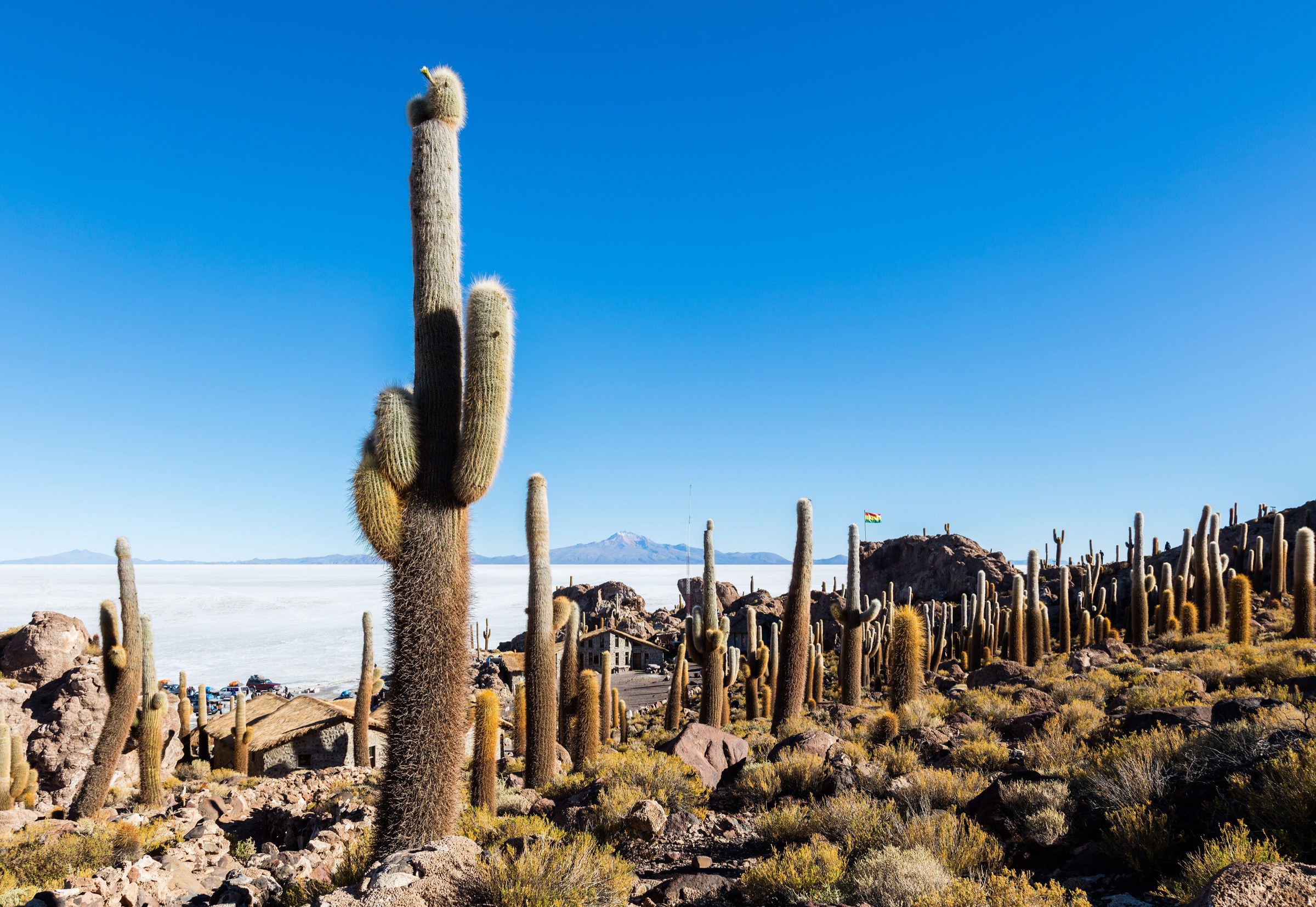 Bolivia — Uyuni / Lípez Volcanic Andes: Essential Day-Hikes