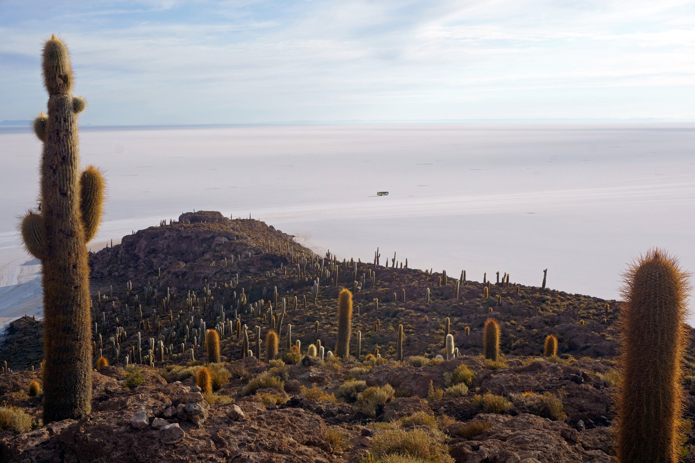 Isla Incahuasi, Salar de Uyuni, Bolivia