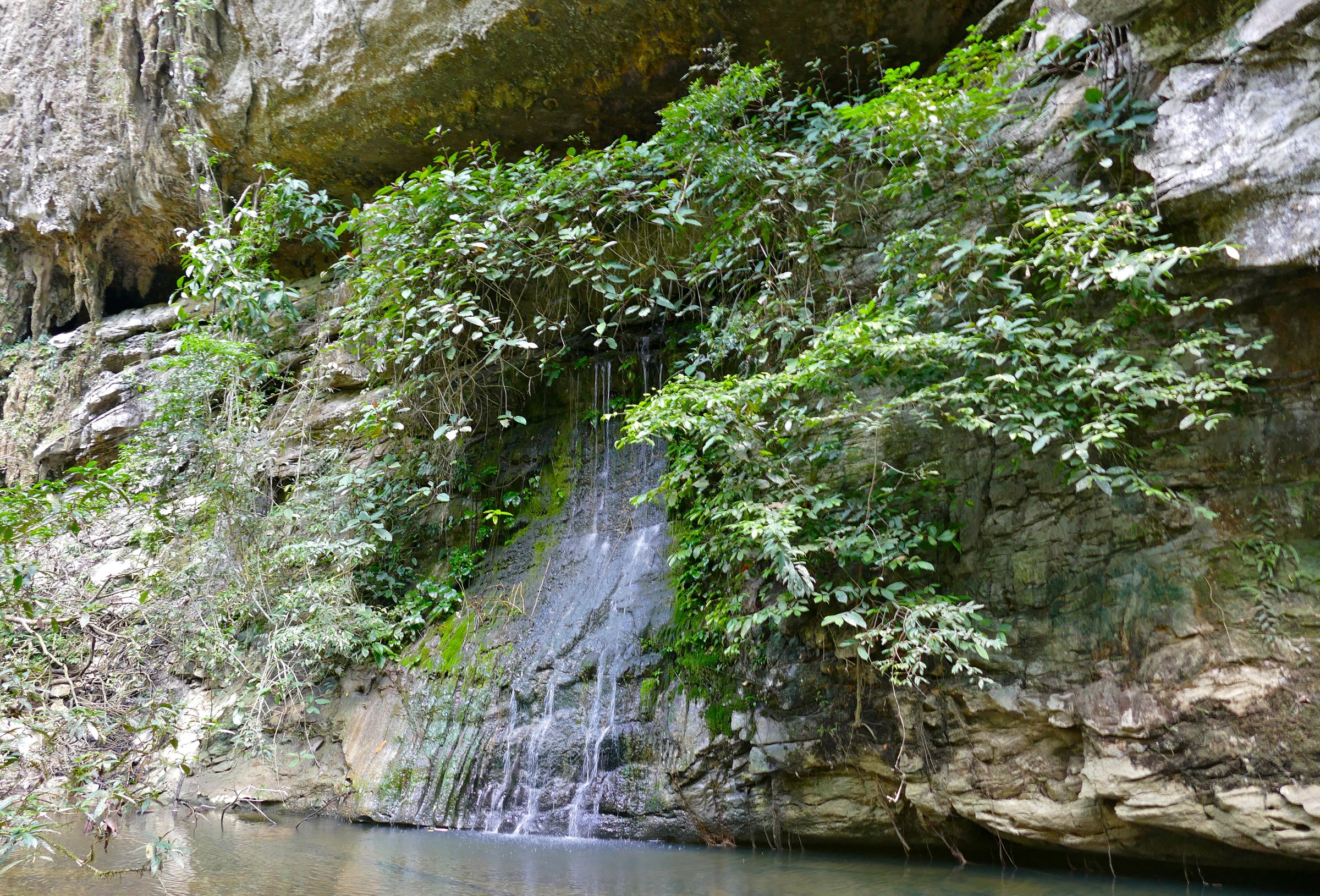 Paku Waterfall in Gunung Mulu National Park