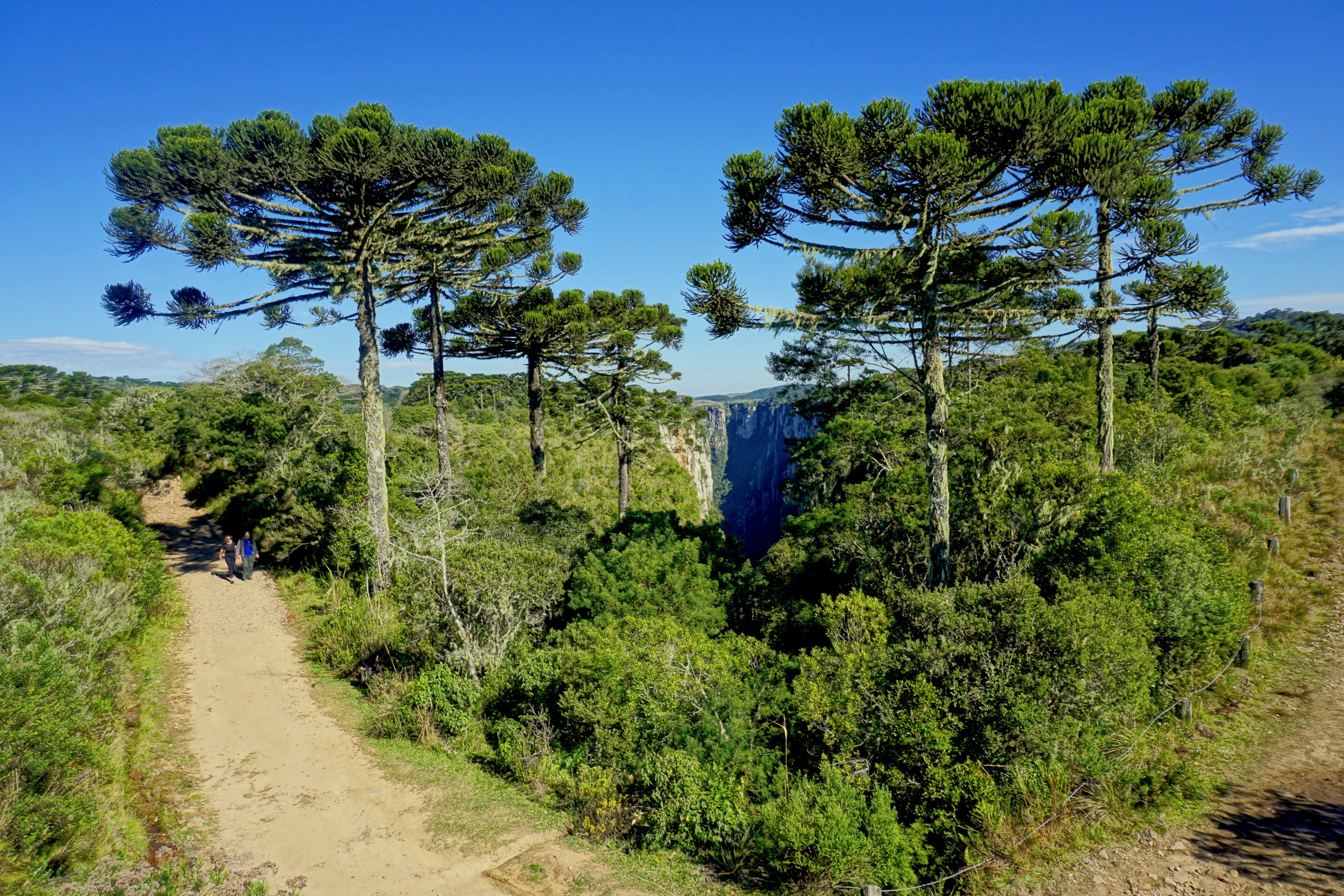 Brazil — Aparados da Serra