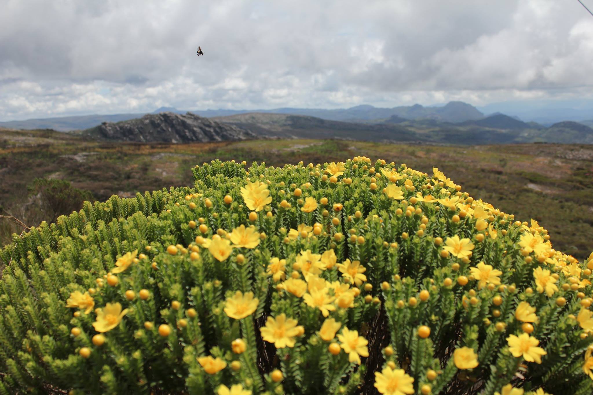 Brazil — Pico do Itambé Region