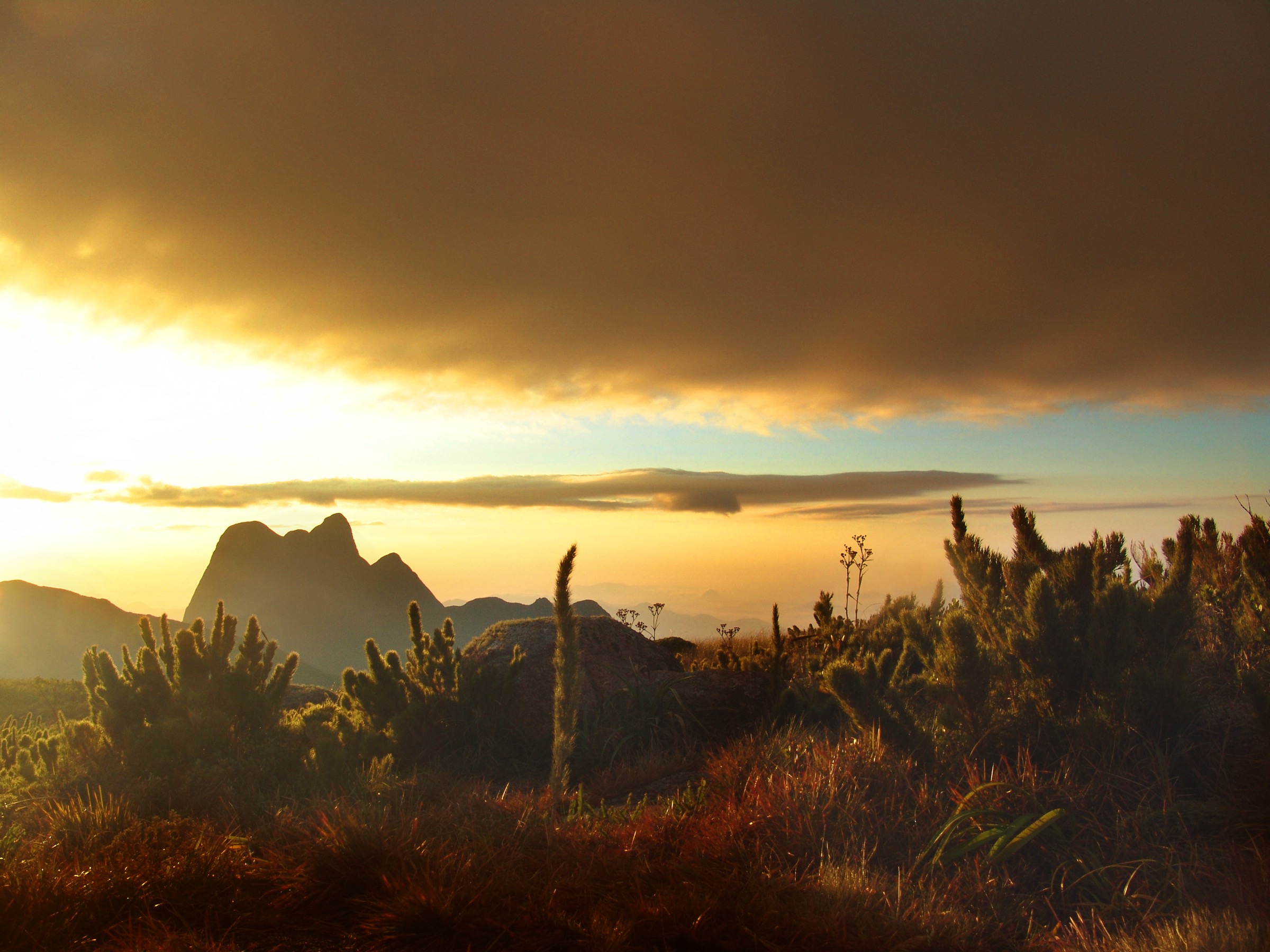 Brazil — São Paulo / Paraná Serra do Mar: Essential Day-Hikes