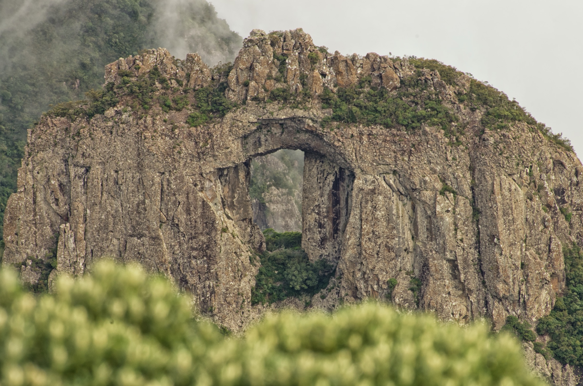 Brazil — Brazilian Highlands: Serra Catarinense